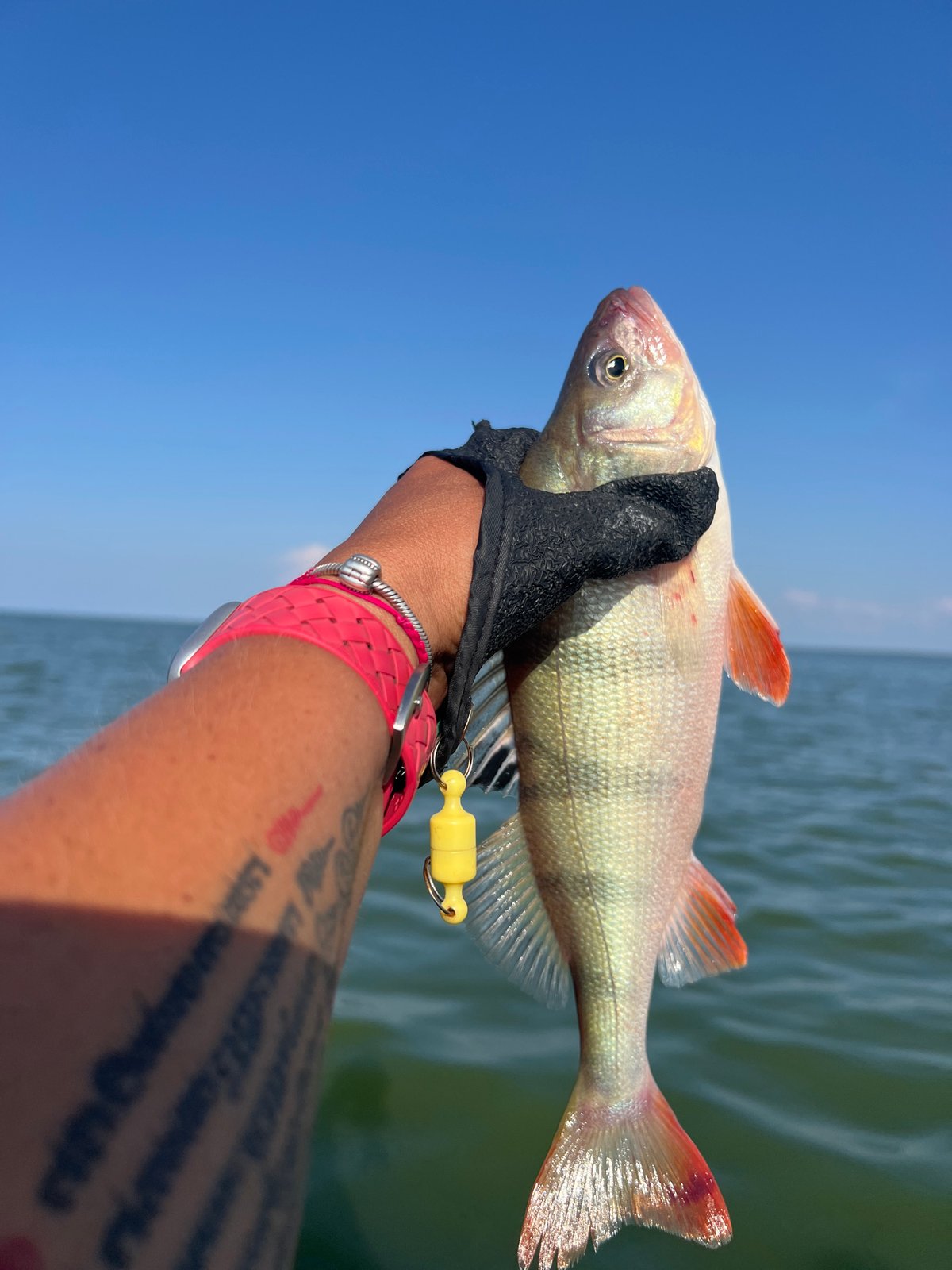 Fresh catch held up over calm Borovoe waters