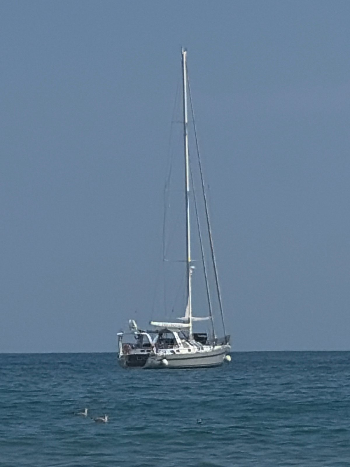 Sunny day on the water: sailboat, pier, and beach views