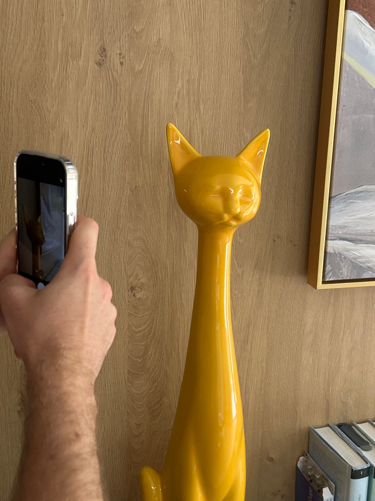 Person photographs ceramic cat figurine and flower painting in Sofia