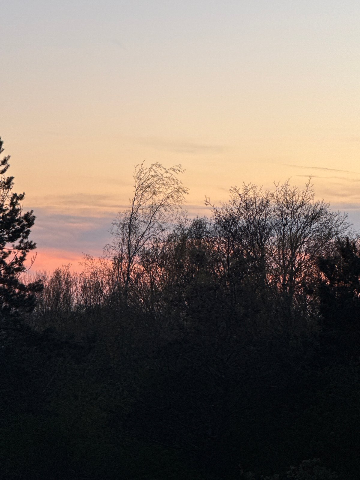Colorful sunset observed over Great Yarmouth displaying orange-pink bands