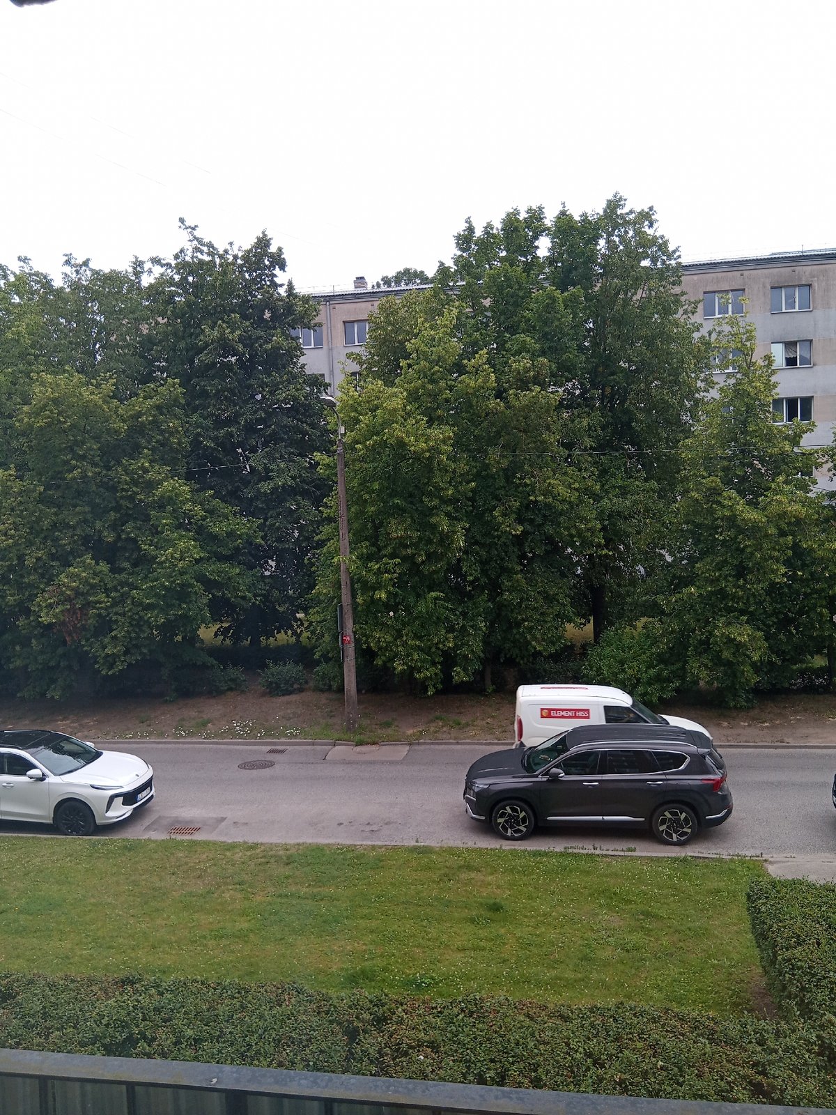 Tree-lined Riga streets and a crocheted bunny on a quiet morning