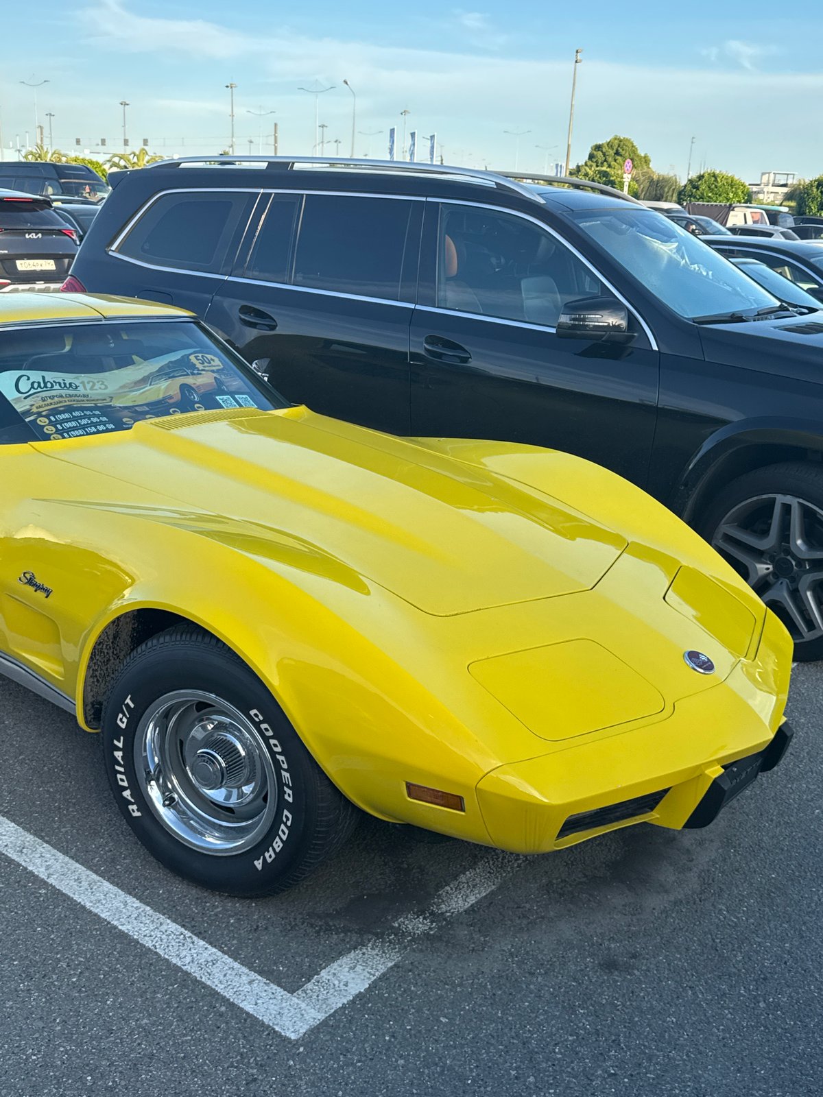 Sports cars parked in Sirius Russia lot
