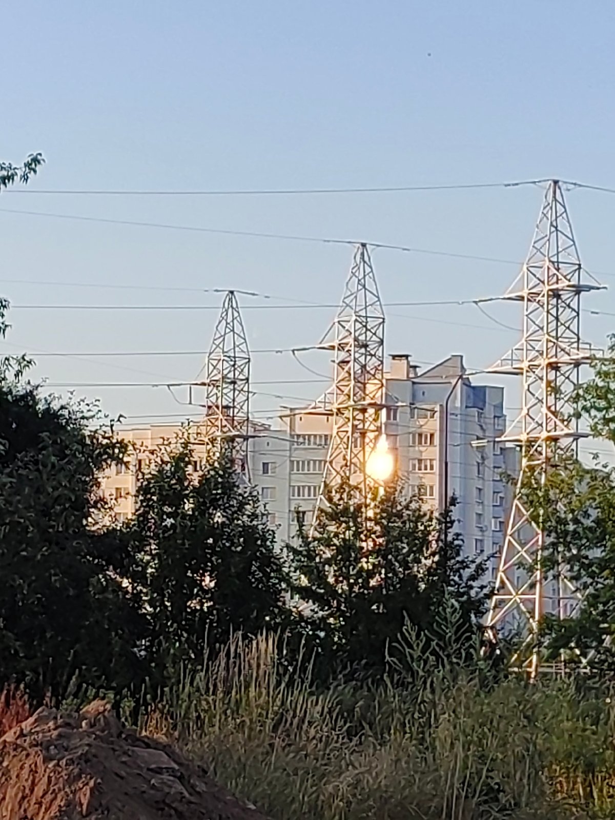 Wildflowers and golden hour in a Hrodna park, summer evening