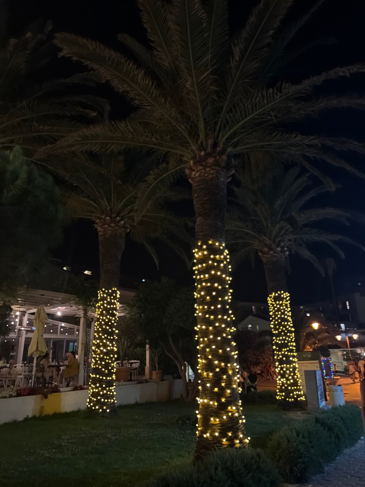Lit-up palms and fresh seafood on the Boreti waterfront