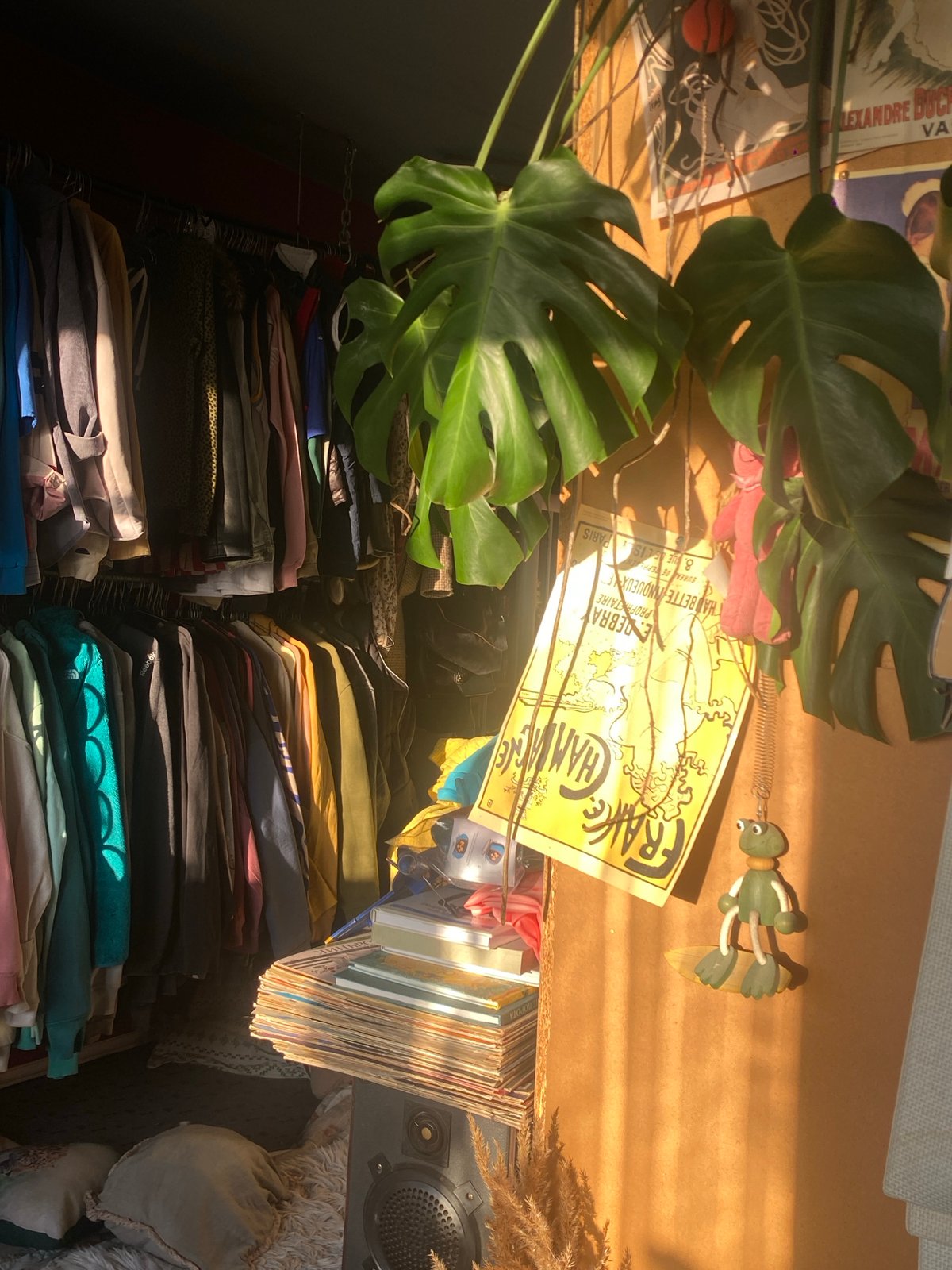 Indoor plant and poster captured in Moscow interior