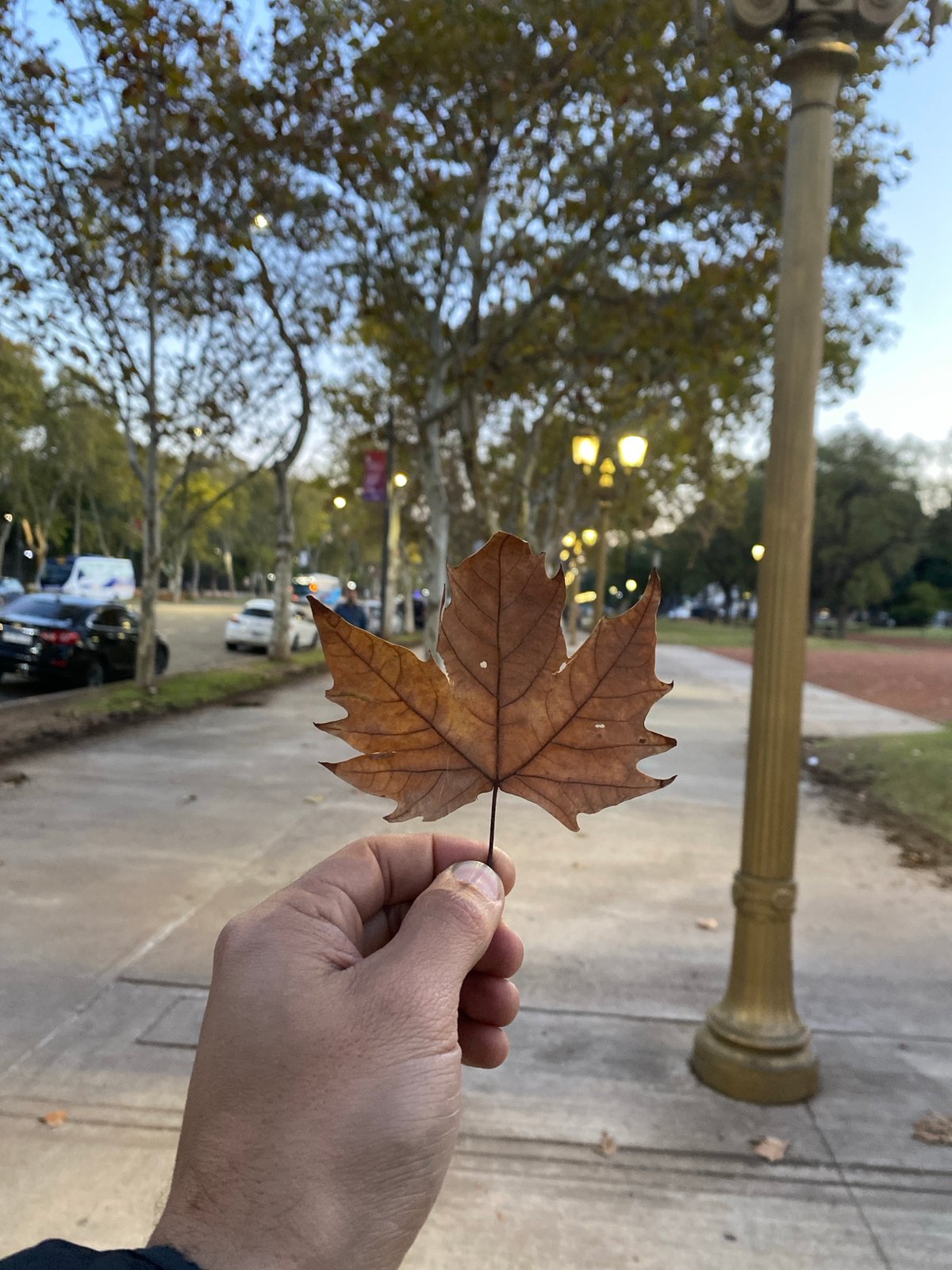 Evening stroll through Buenos Aires park captures monuments and autumn