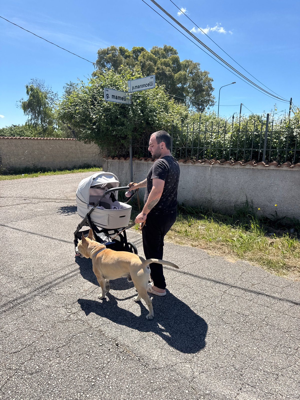Morning dog walk becomes garden photography session in Aprilia