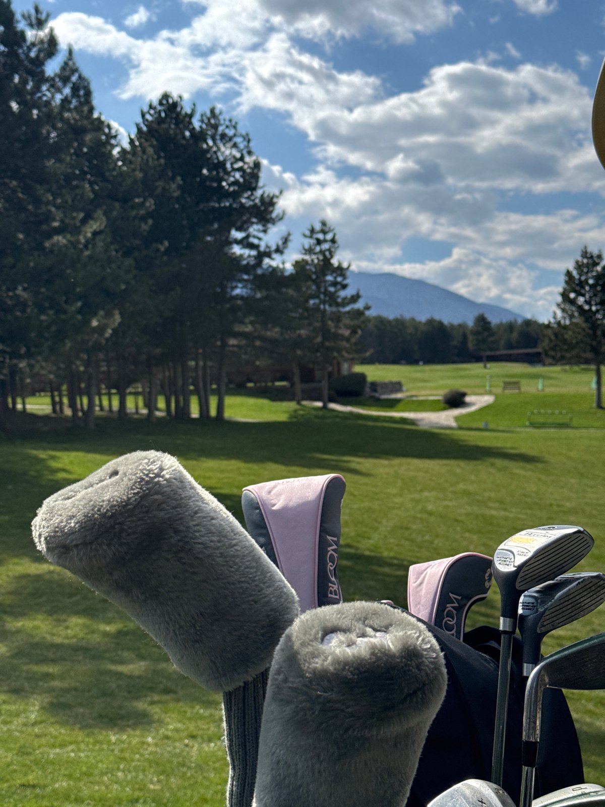 Golf bag with pink-trimmed clubs spotted on Bulgarian mountain course
