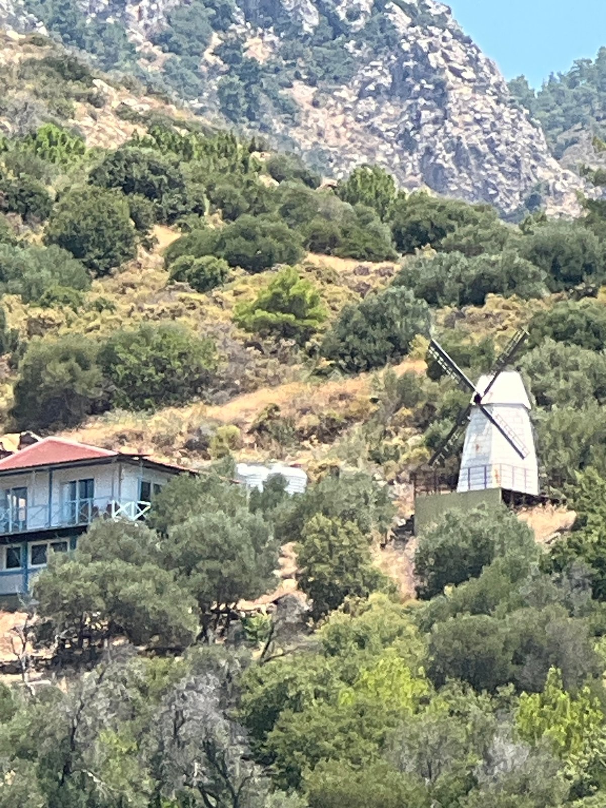 Sunny coastal day with beach umbrellas, paddleboarder, and hillside windmill