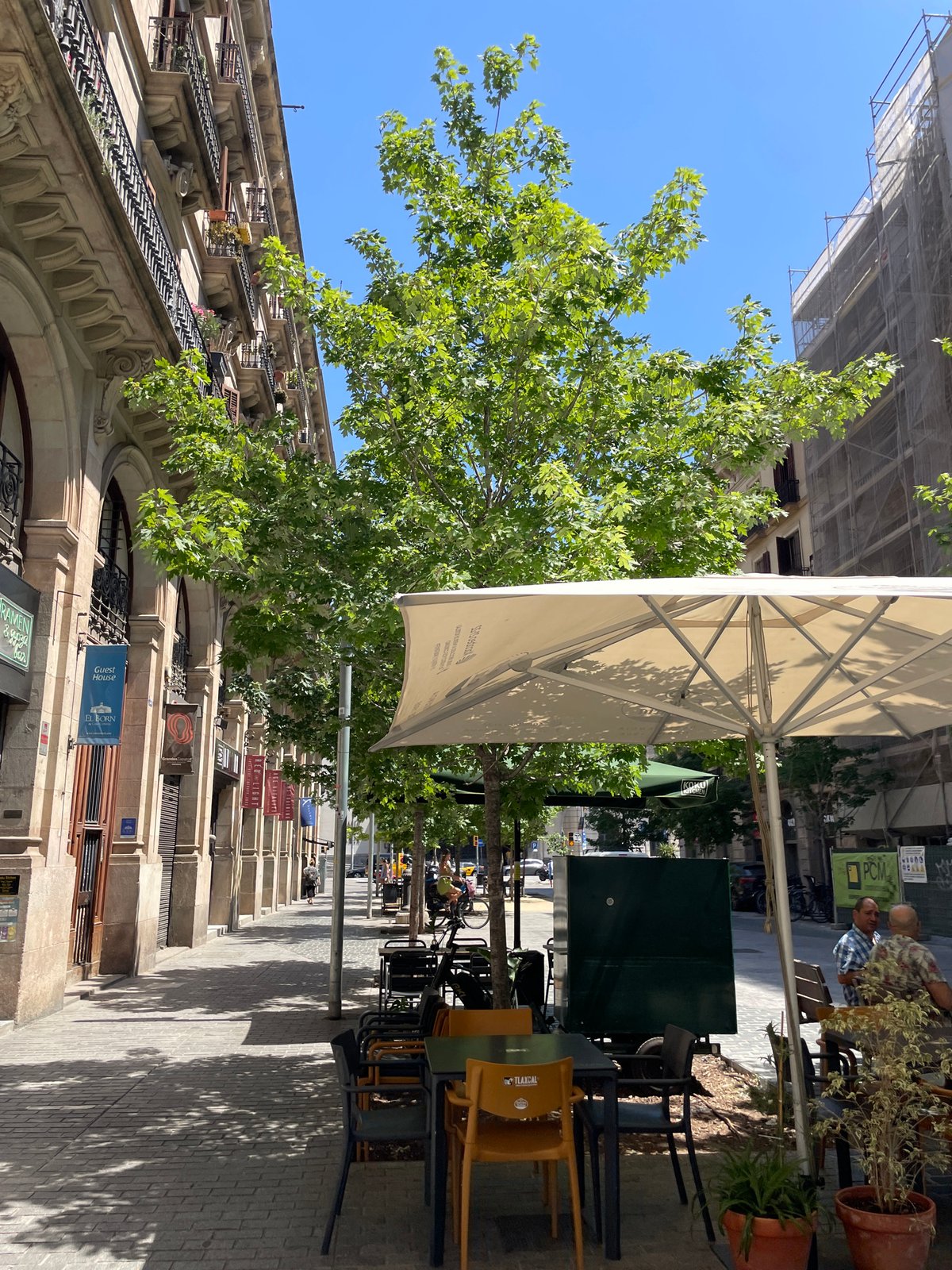 El Born neighborhood on a busy sunny afternoon in Barcelona
