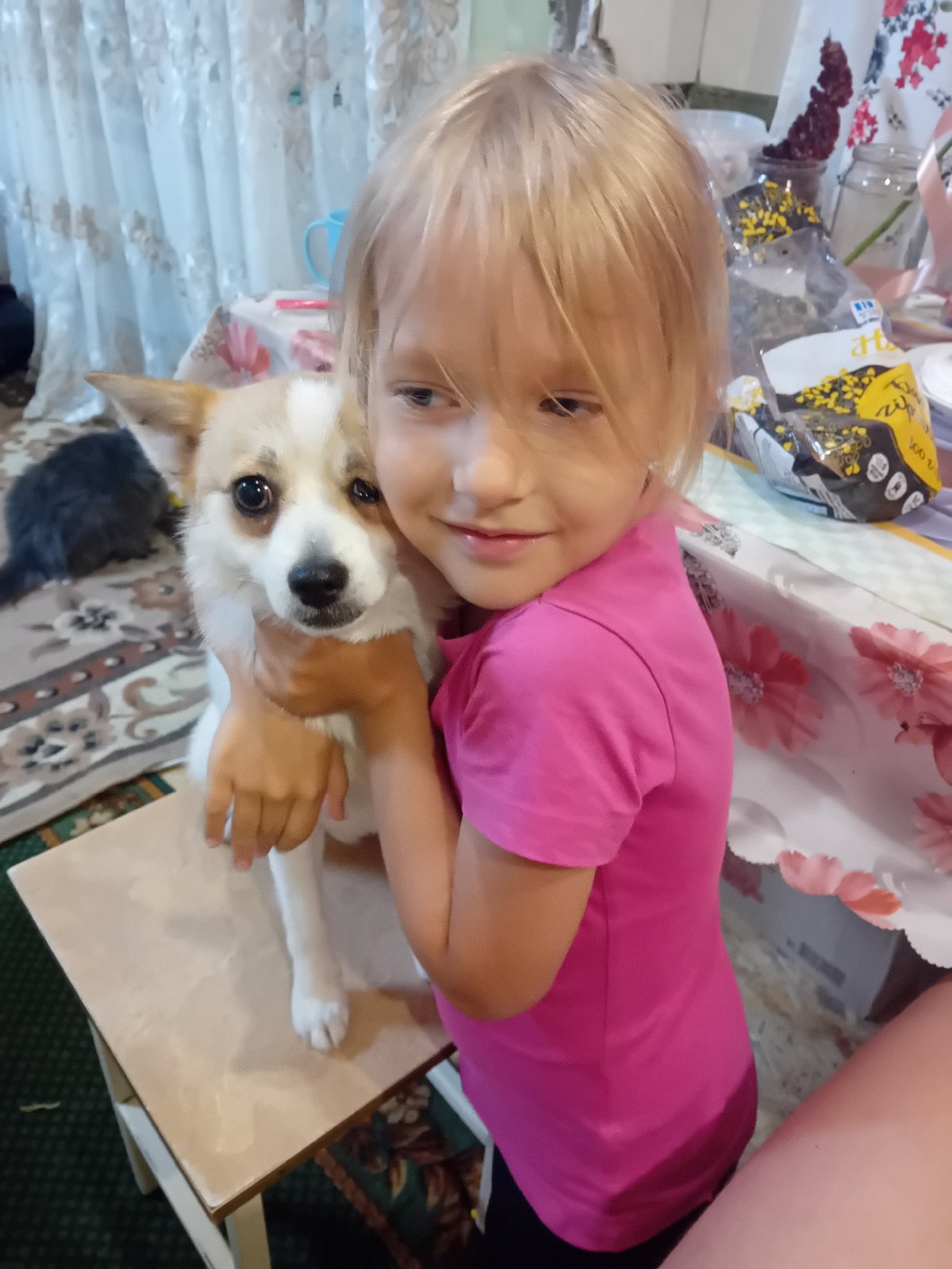 Lazy afternoon with pets inside a Chuhuiv home