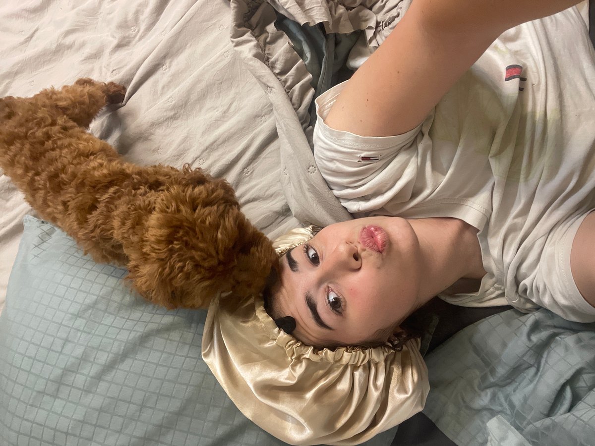Person and poodle share playful moments on bed