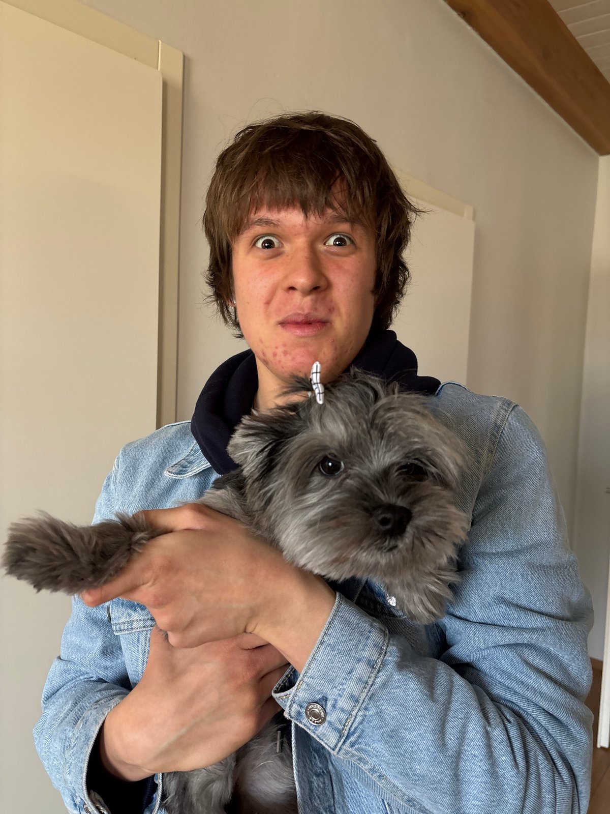Young person poses with small gray dog in Chaikovsky