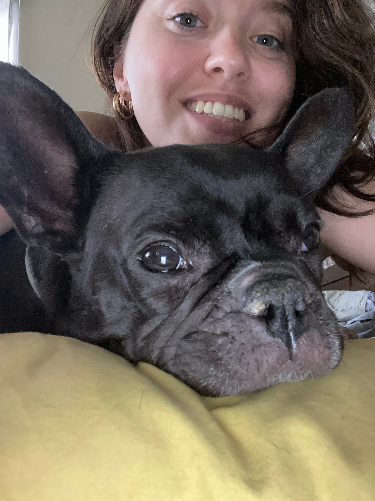 French Bulldog steals the selfie in Batumi