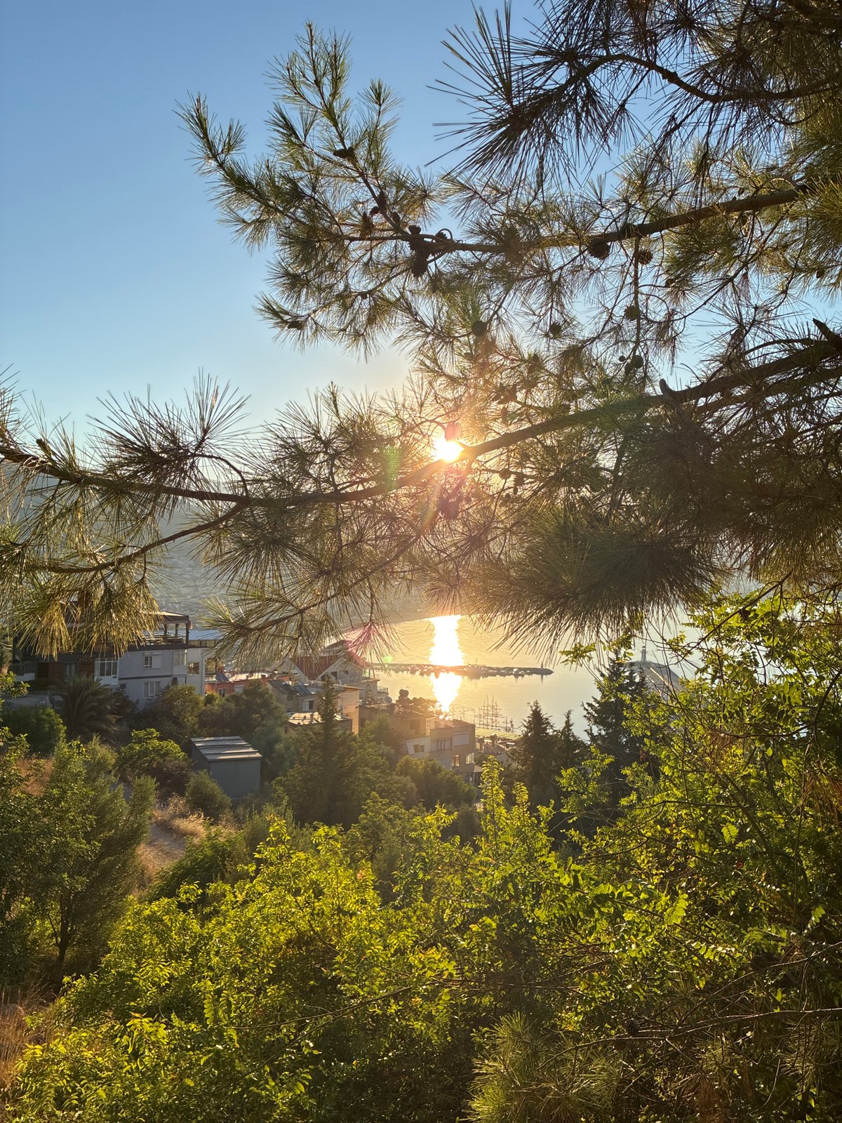 Sunset views and street cats around Alanya's castle hill