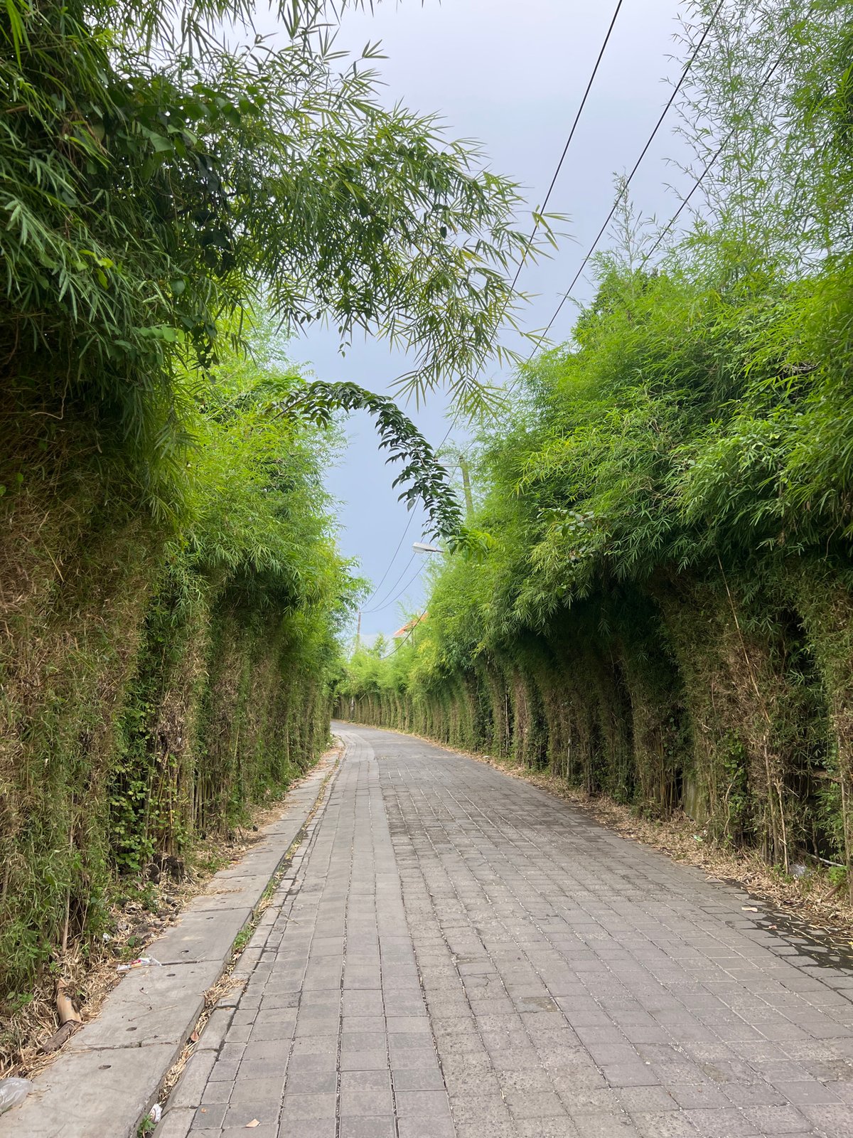 Morning walk through bamboo-lined streets in Kuta Selatan documented