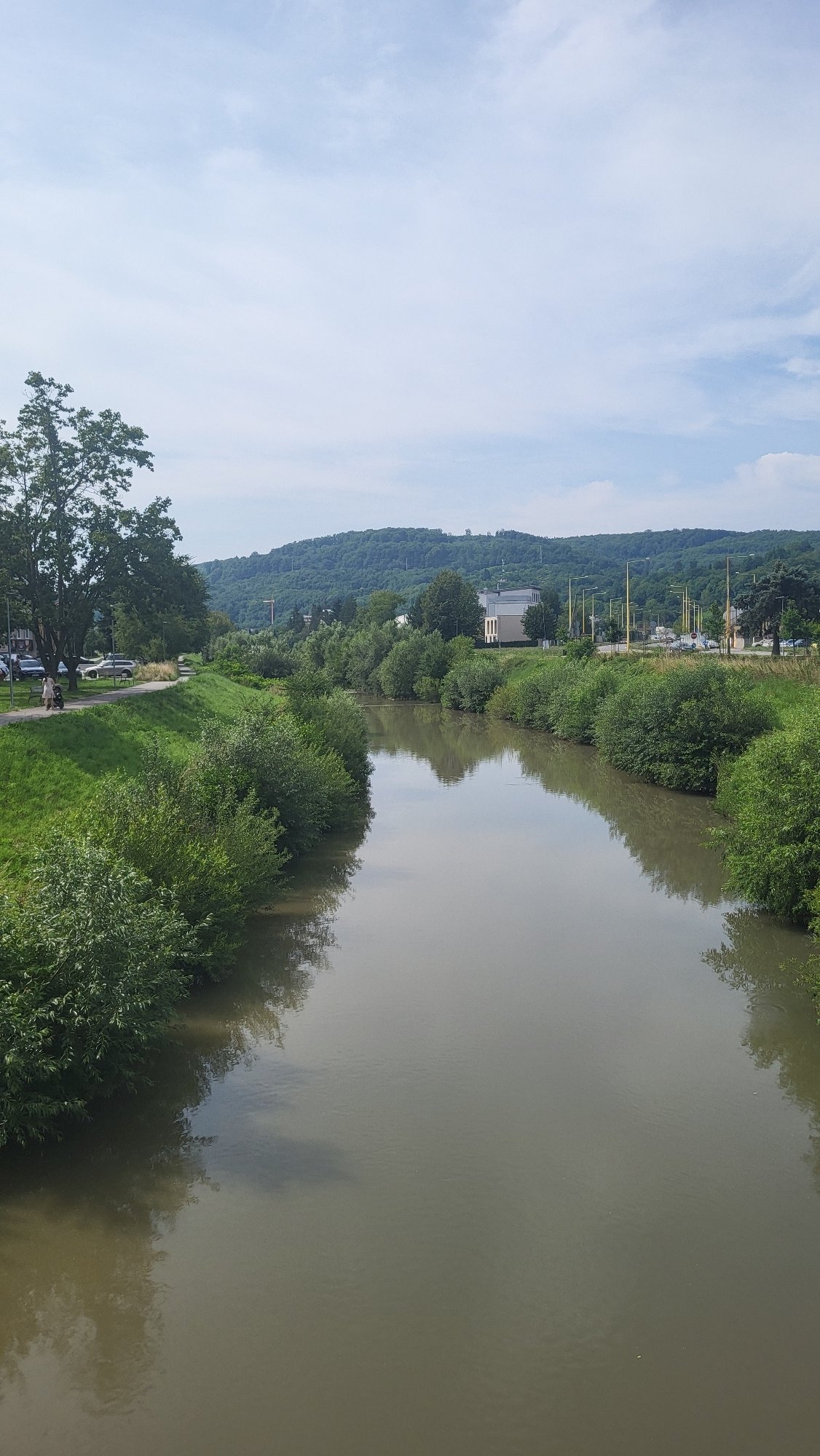 River, nest, and wildflowers along a Prešov nature path