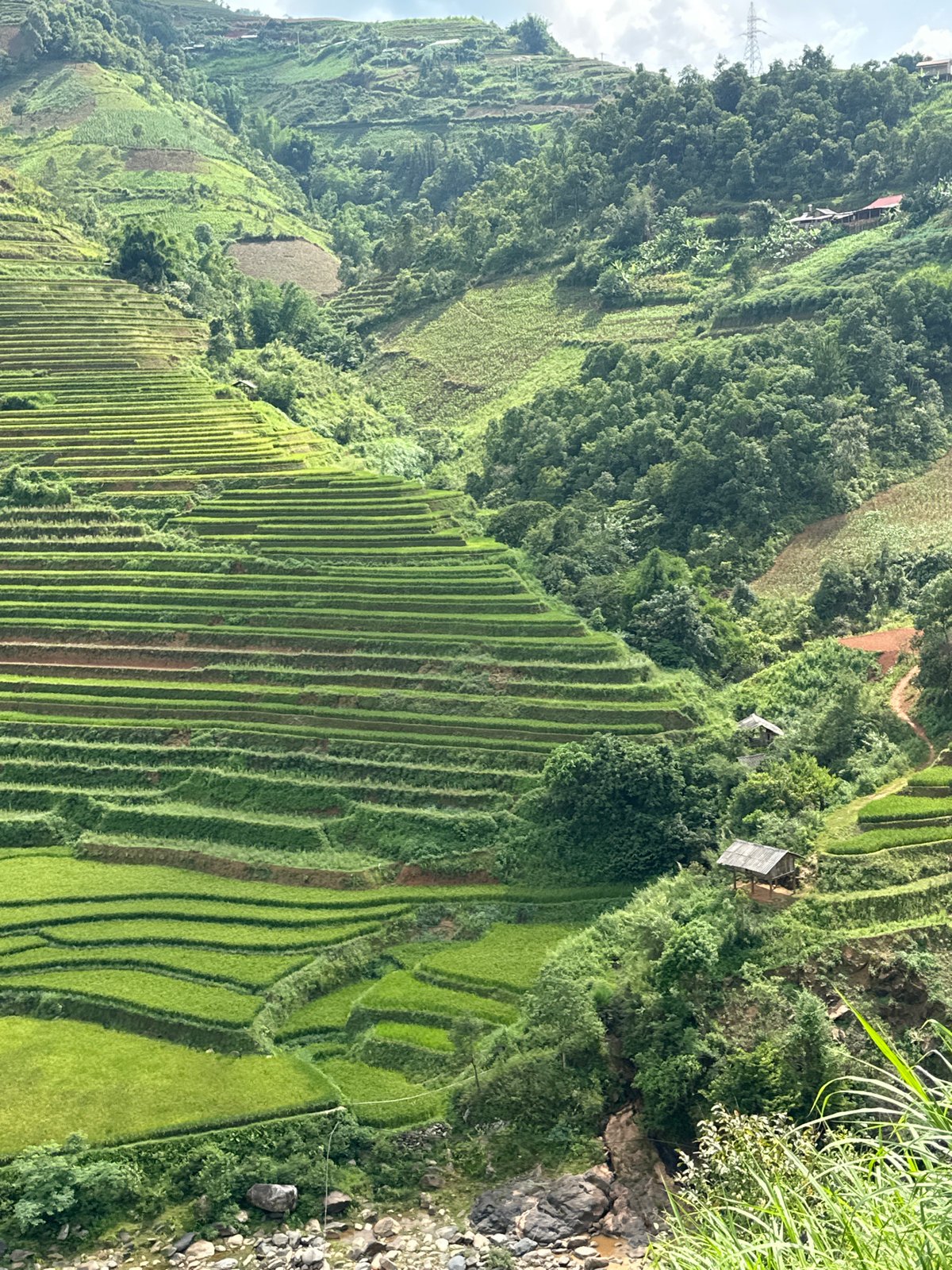 Tourist documents Vietnam's famous terraced rice fields during morning visit