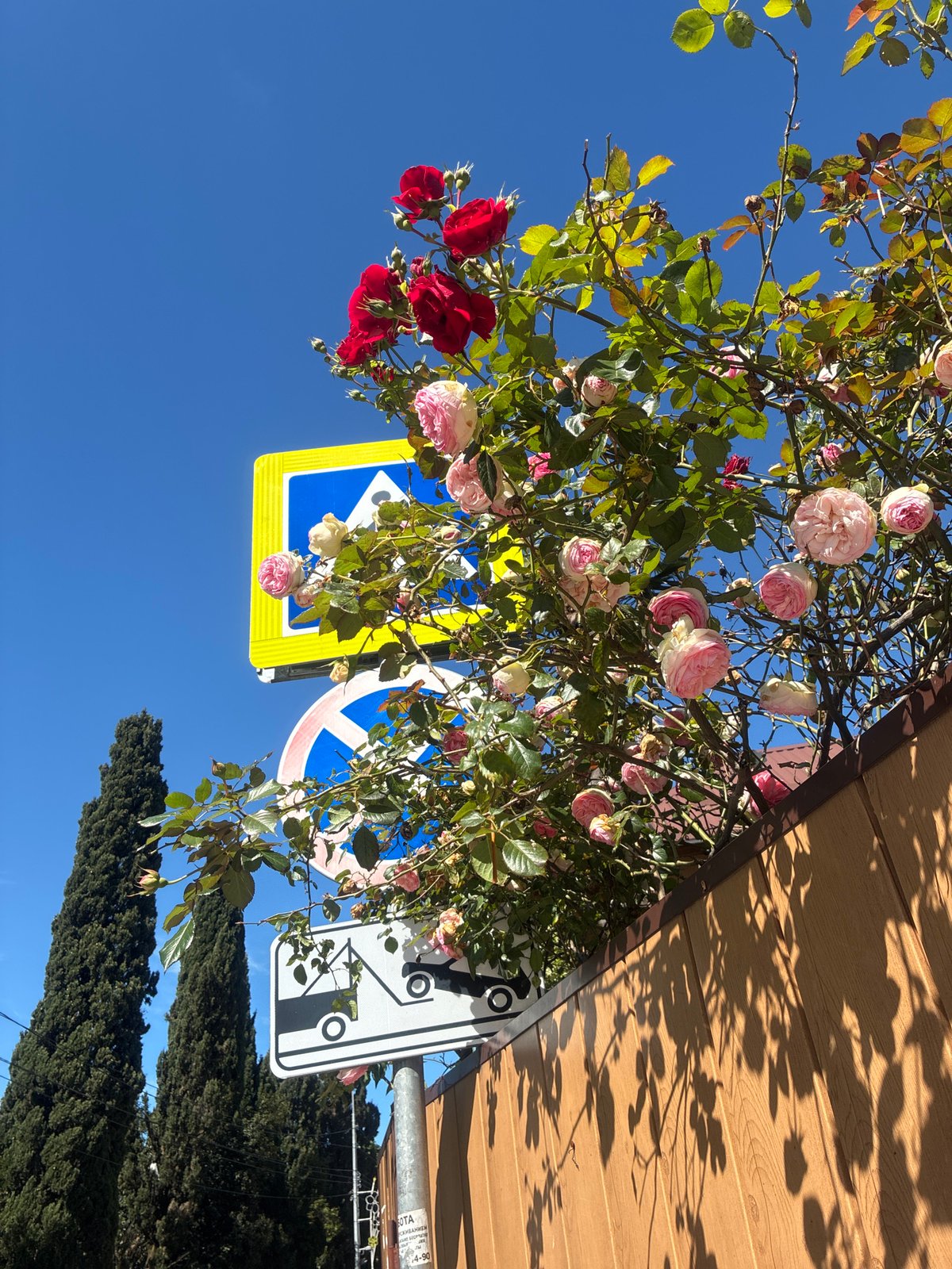 Early morning photo documentation captures Sochi's urban landscape