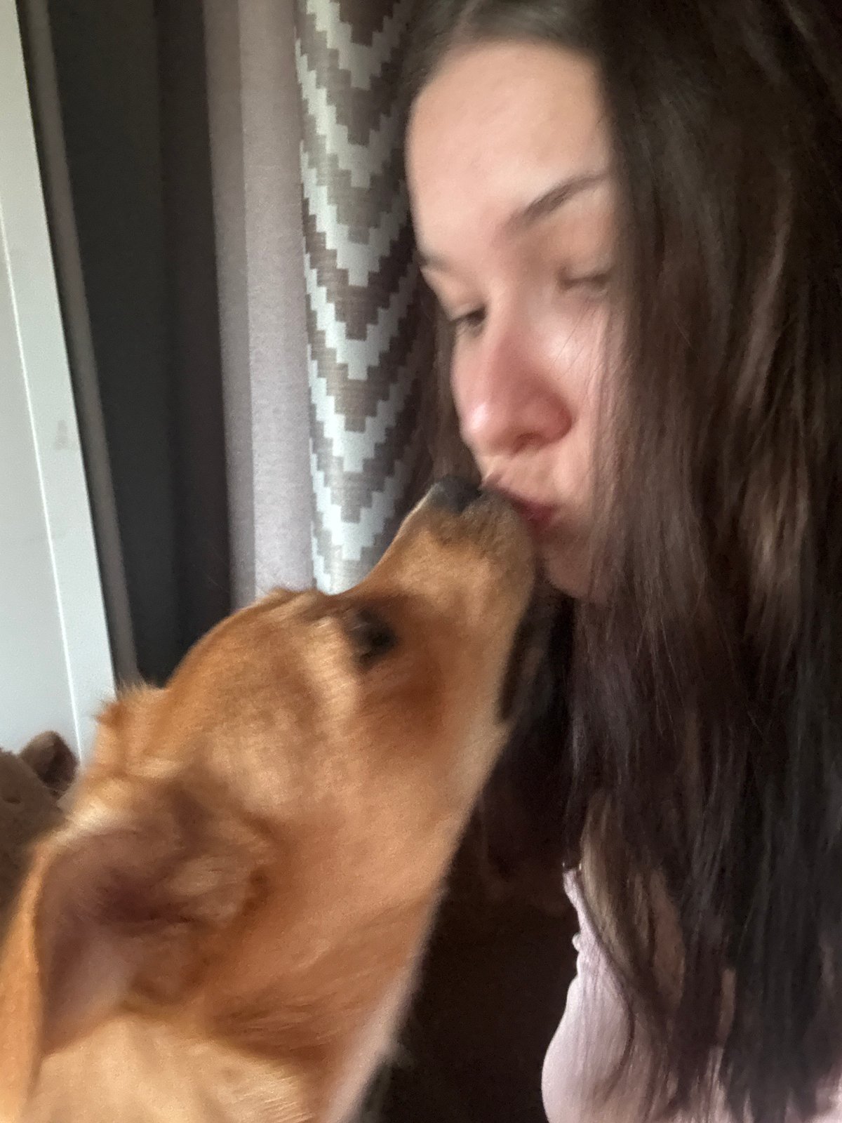 Cozy home hang with a dog and mood lighting in Inskoy
