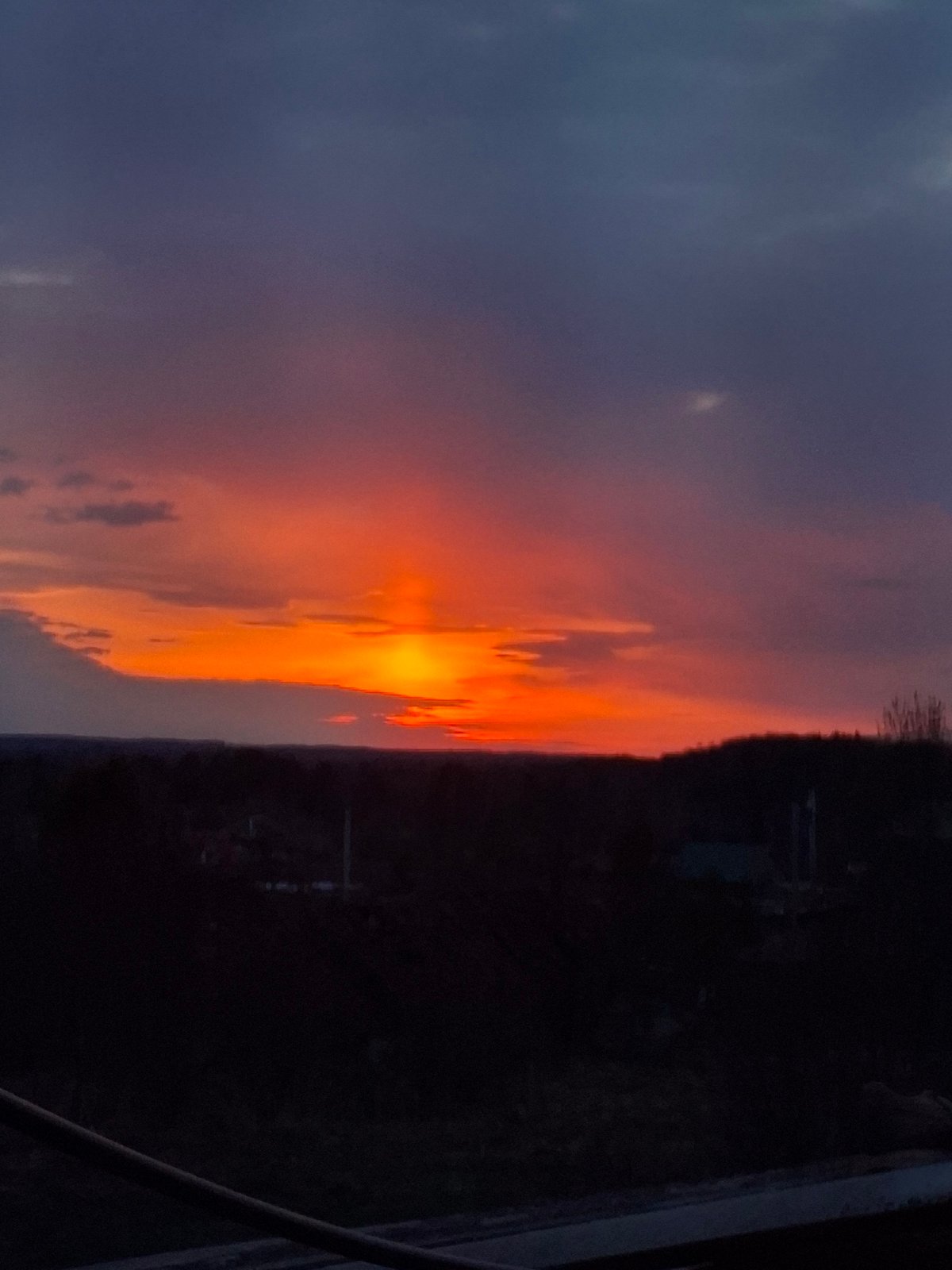Sunset scenes and black dog observed at unknown location