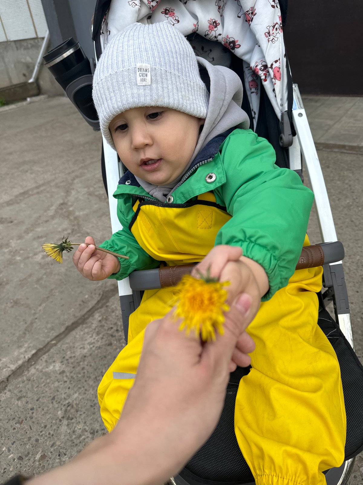 Colorful friends and baby with dandelion captured in Chaikovsky
