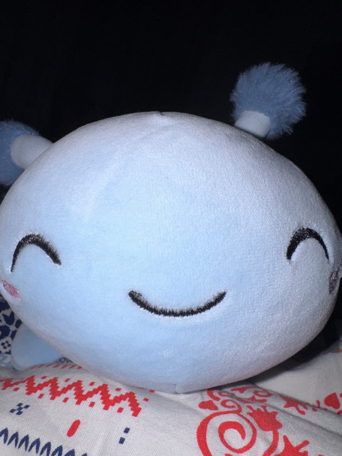 Evening documentation of toys, crafts, and household items