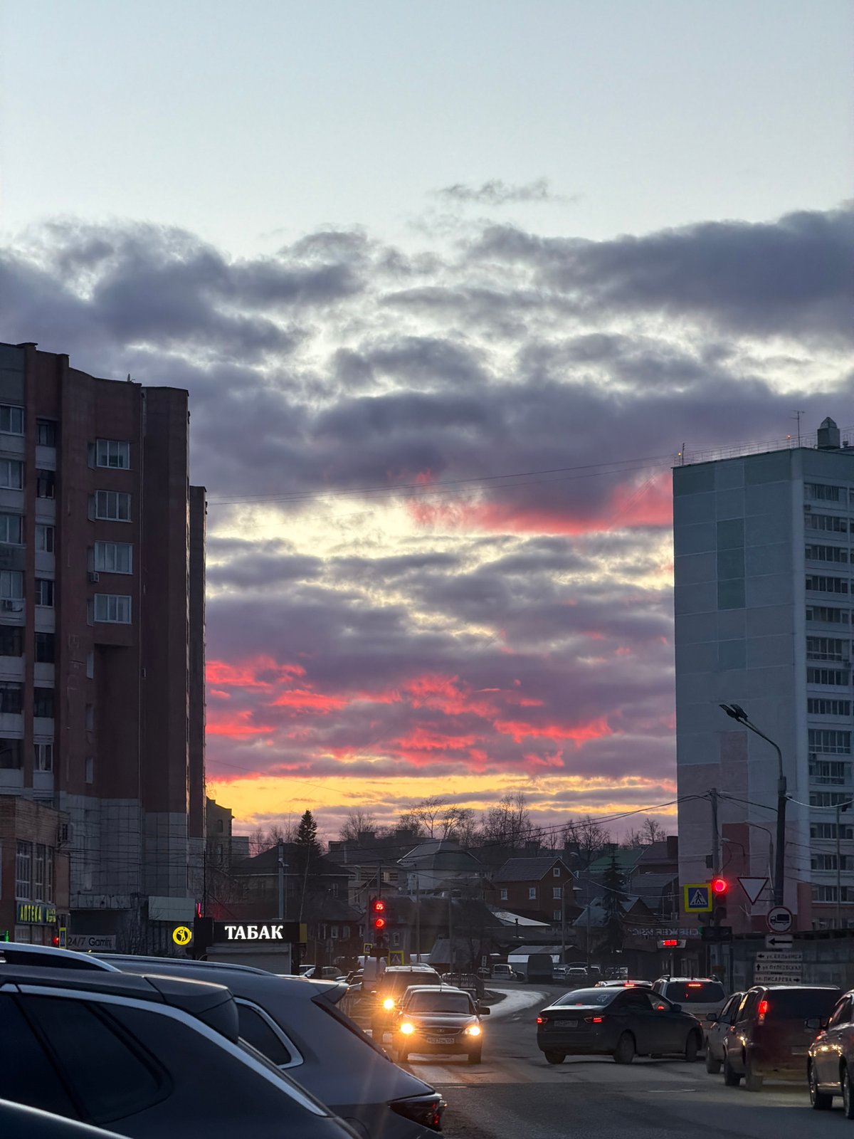 Cat owner documents afternoon with pet during Perm sunset