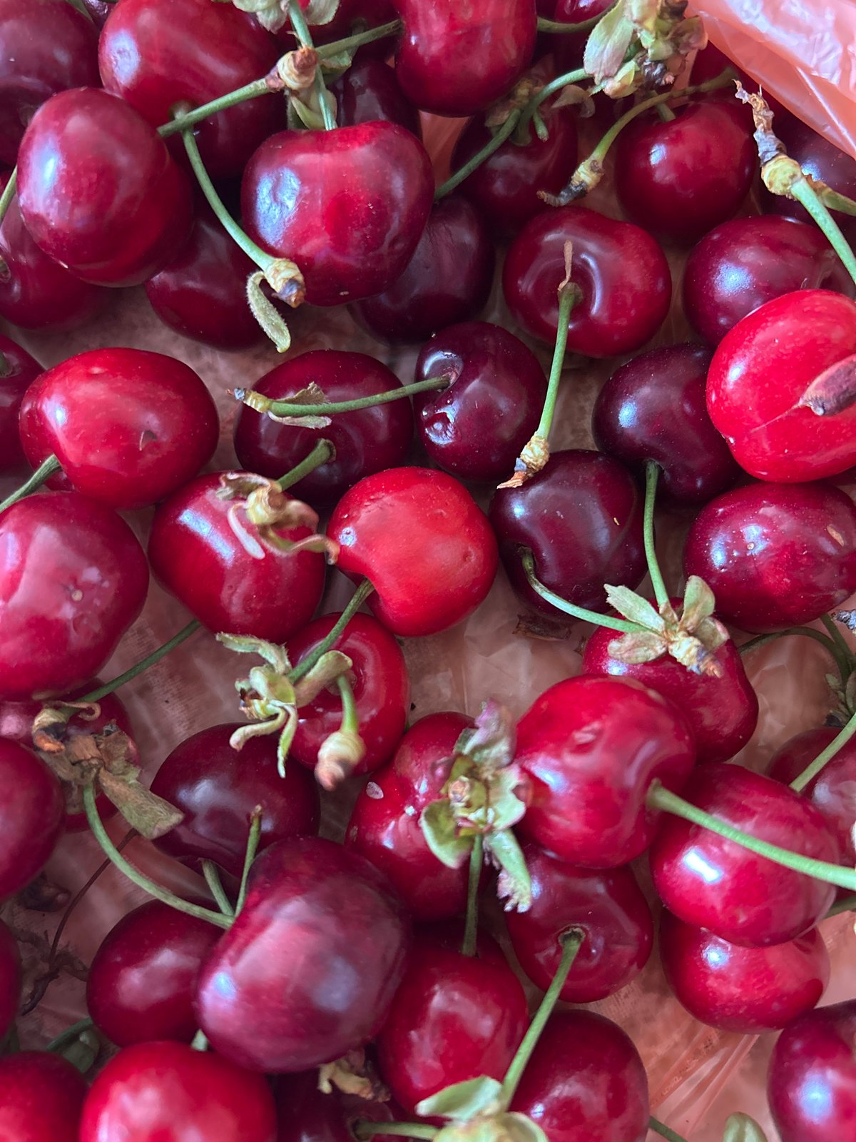 Spring day captured in Samokov: cherries, flowers, overcast skies