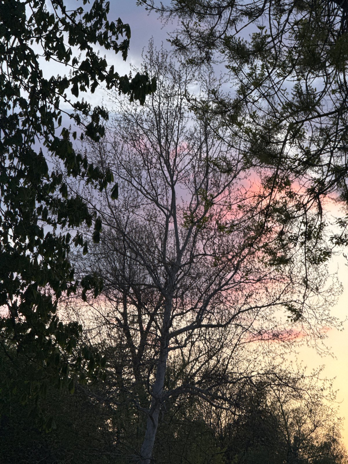 Witness documents outdoor scenes in Sofia during evening hours
