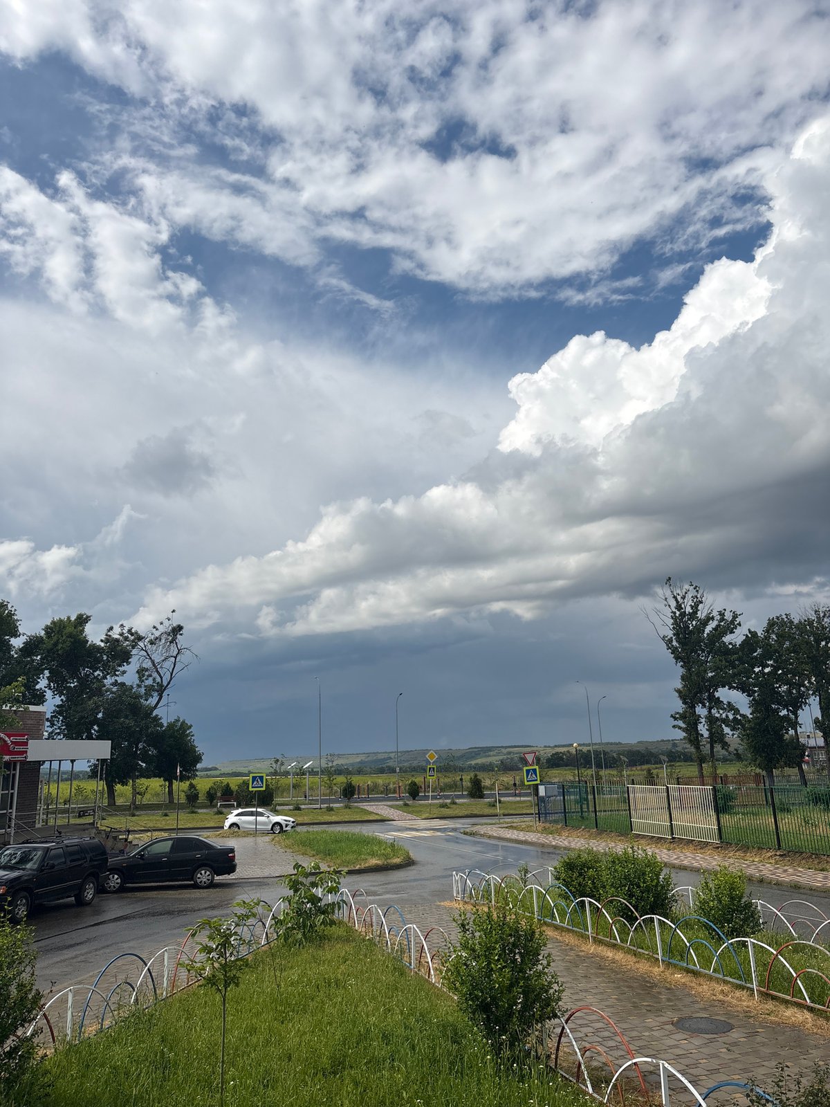 Stormy skies, blooming gardens, and a sleepy bulldog in Mikhaylovsk