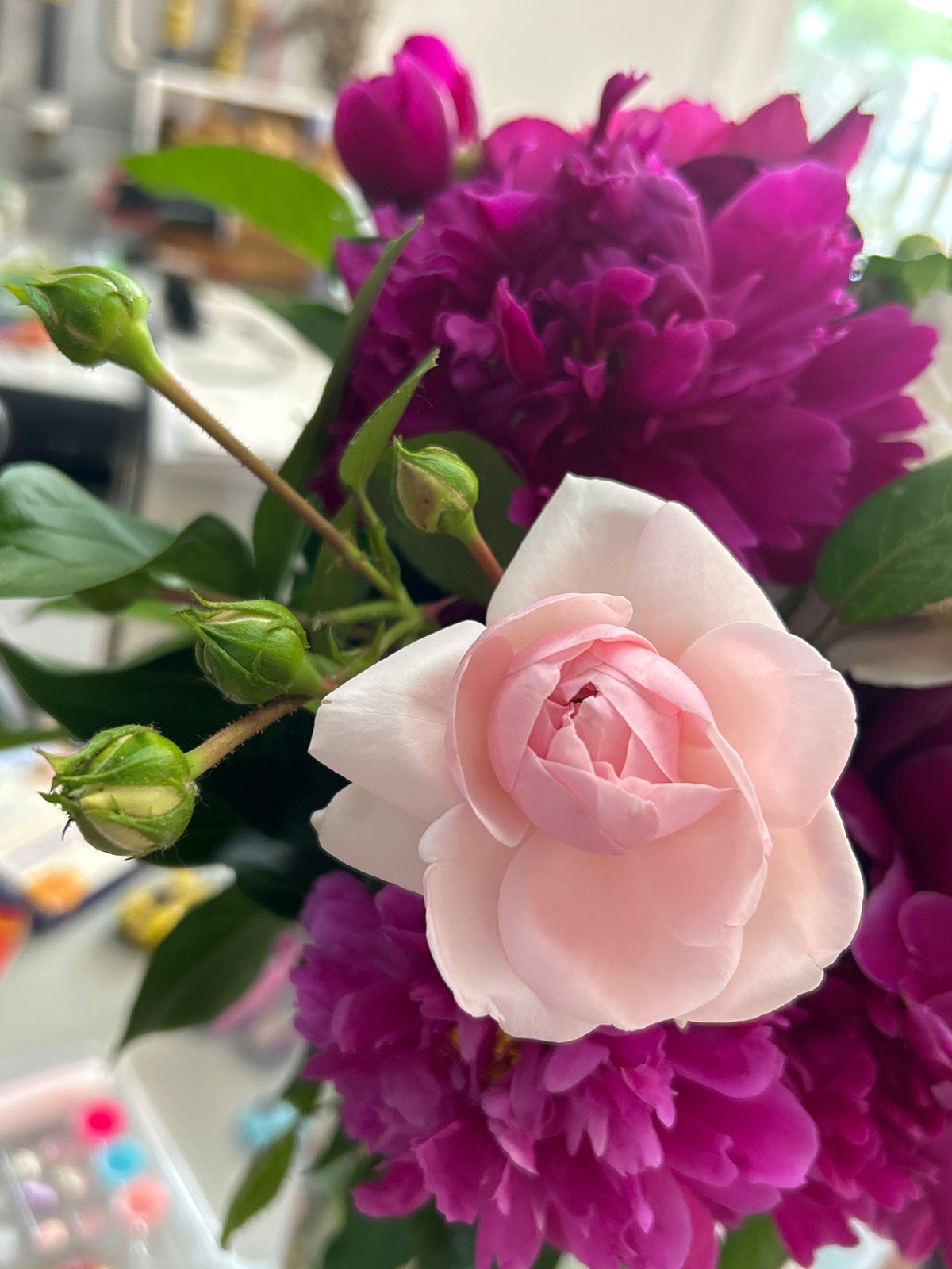 Flower shopping and garden browsing on a sunny afternoon in Chaikovsky