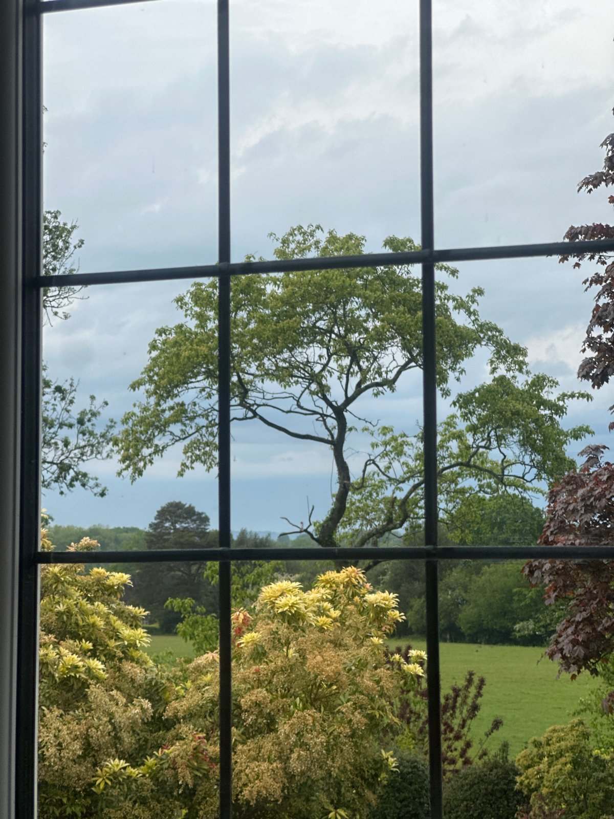 Quiet afternoon moments documented in Tunbridge Wells home