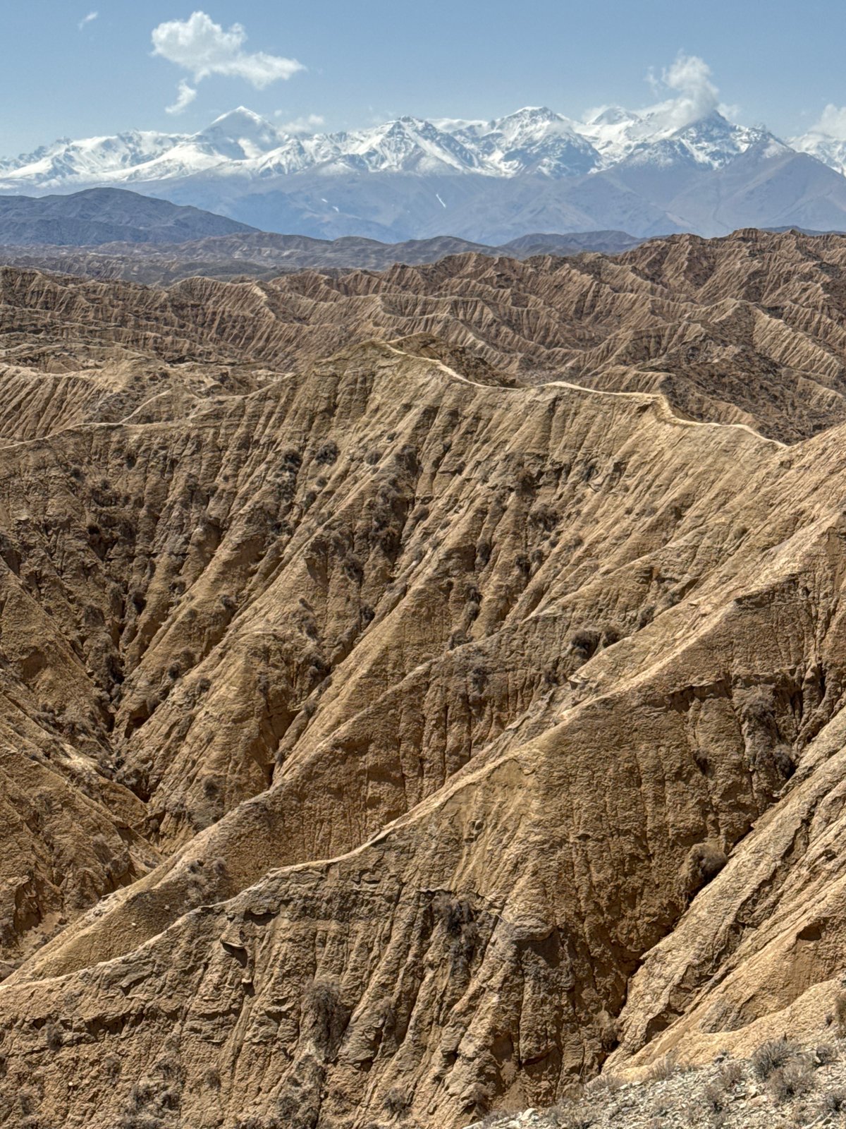 Rocky terrain with snow-capped peaks documented in Ak Say