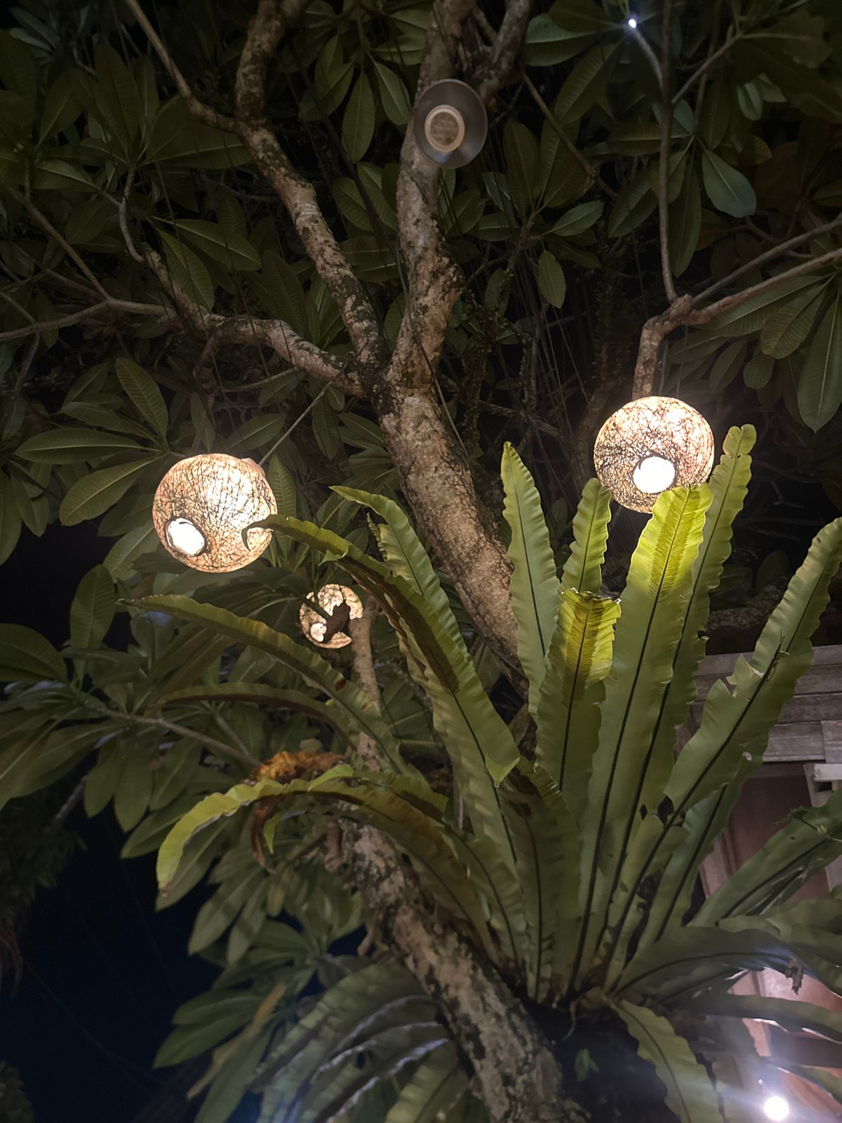 Nighttime textures and interiors around a spot in Ubud