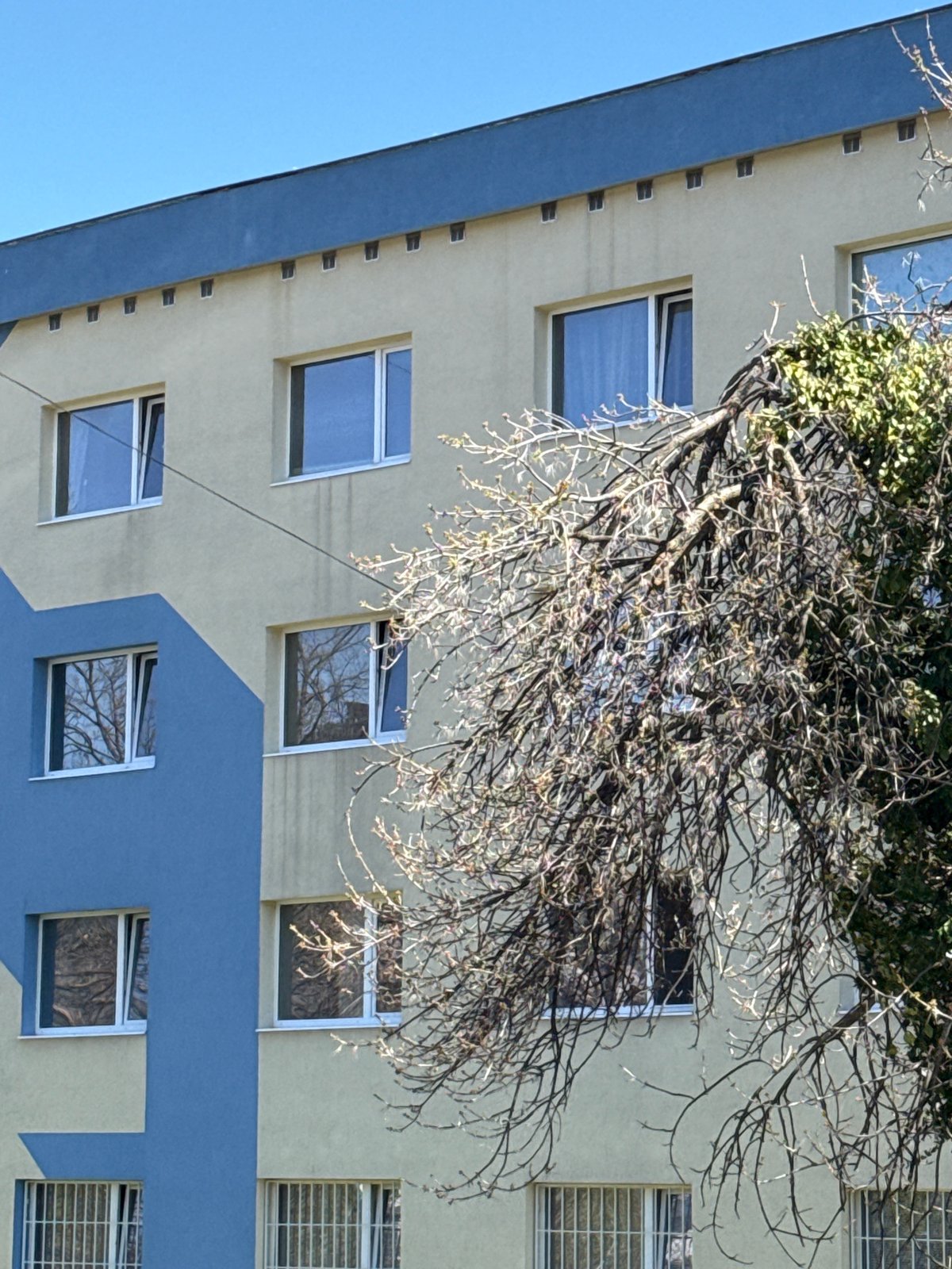 Sofia resident captures morning scenes: apartment building, flower shop, TV