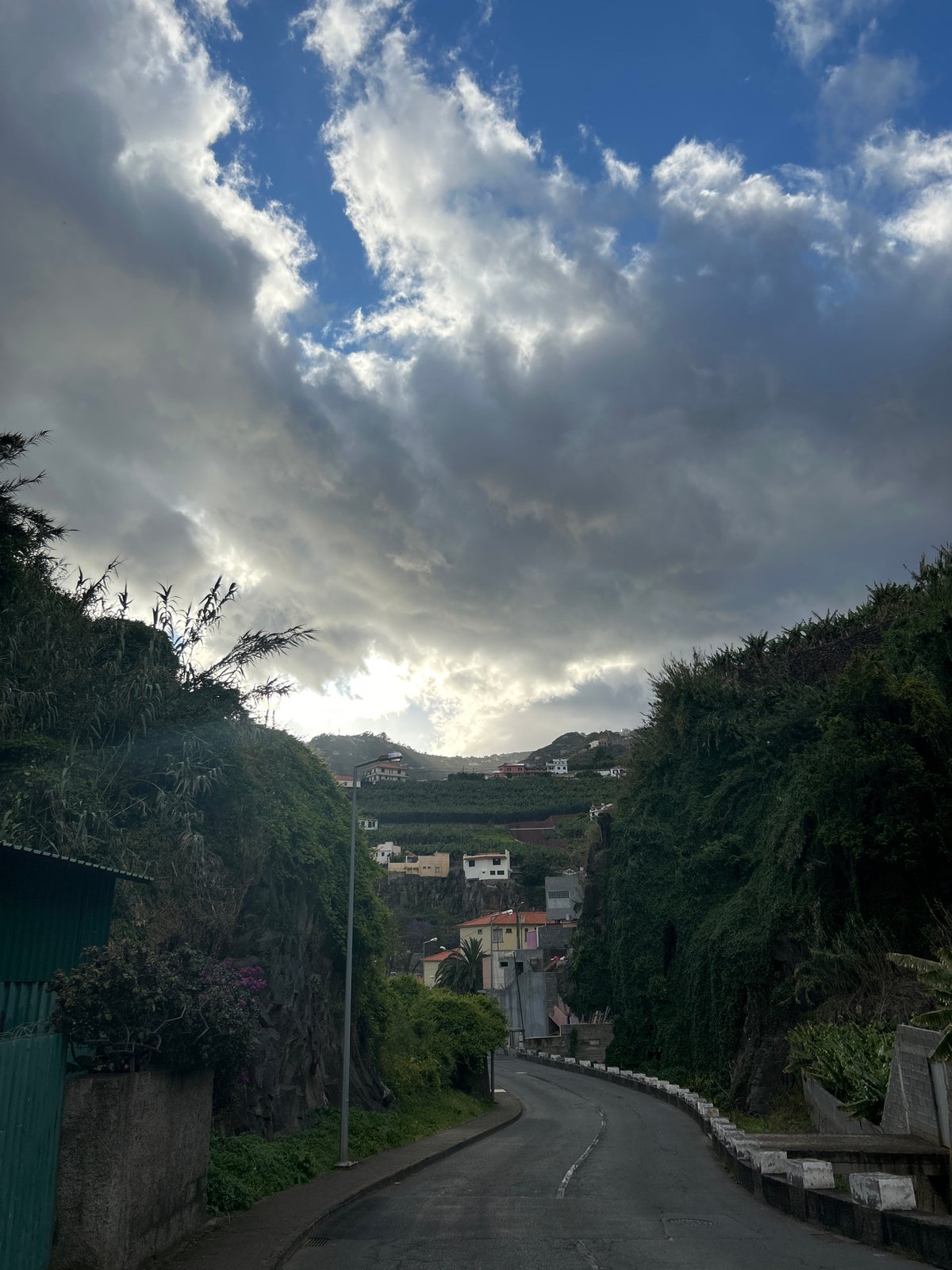 Visitor documents scenic views across Câmara de Lobos hillsides