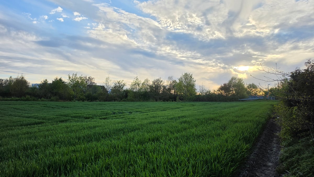 Evening bonfire gathering documented in rural agricultural setting
