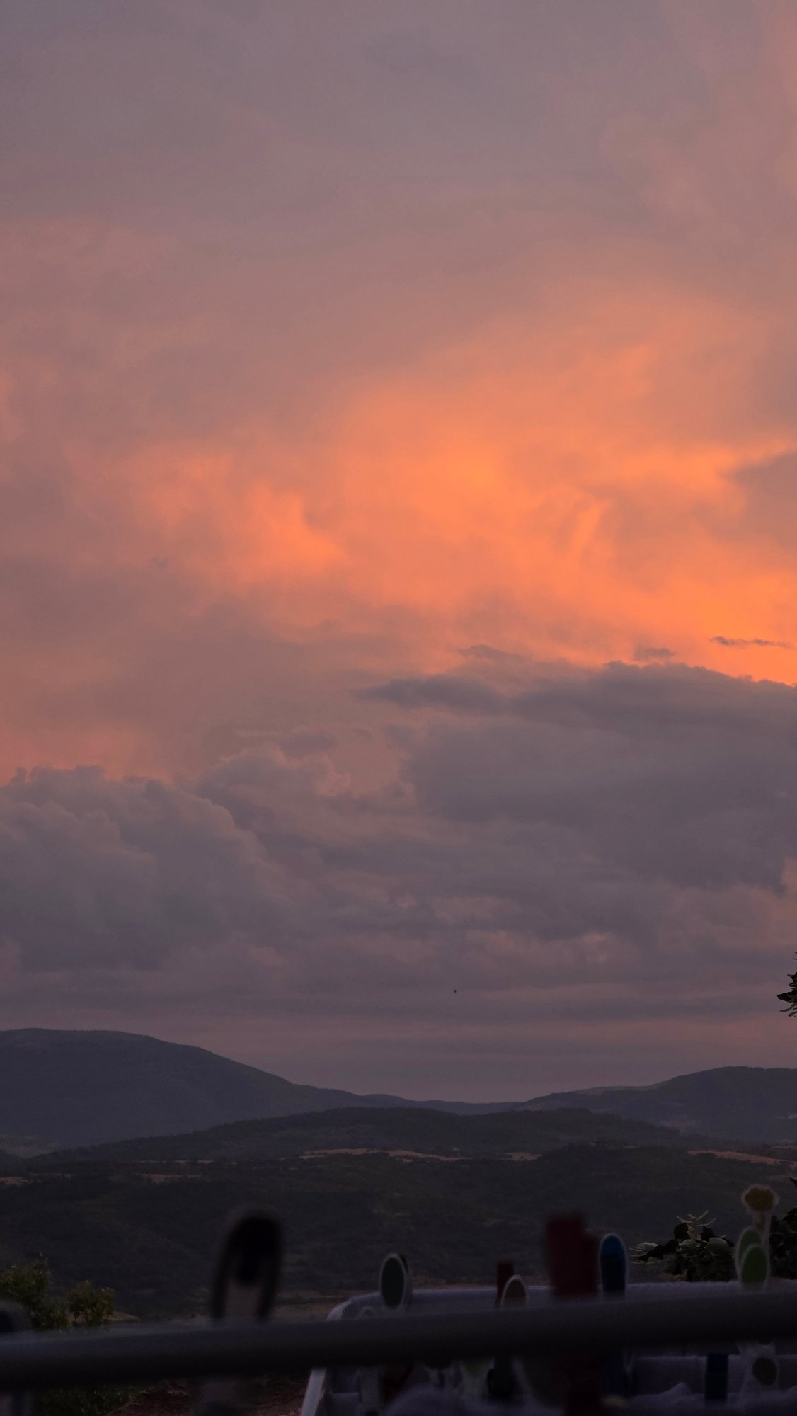 Baby moments, costumed dog, sunset captured in Blagoevgrad evening