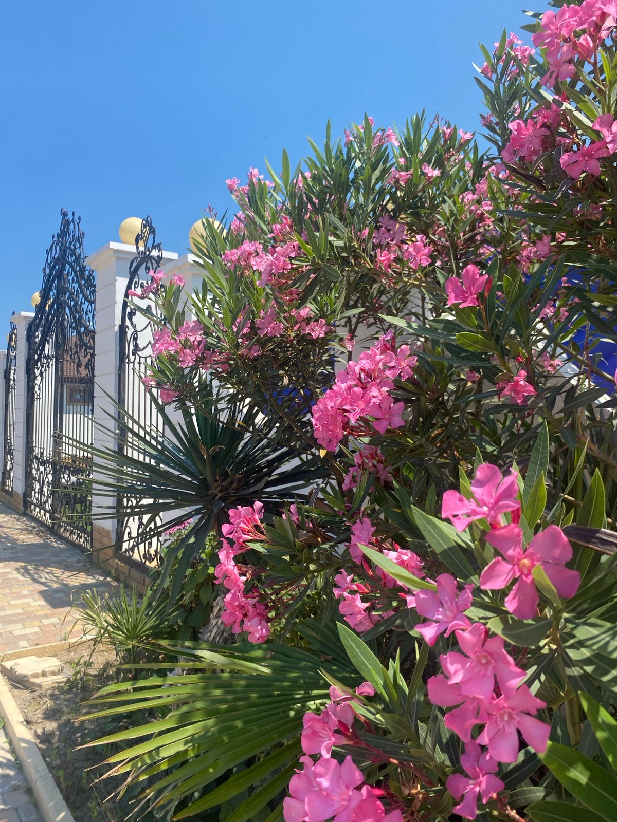 Sunny afternoon along Derbent's decorative waterfront walkway