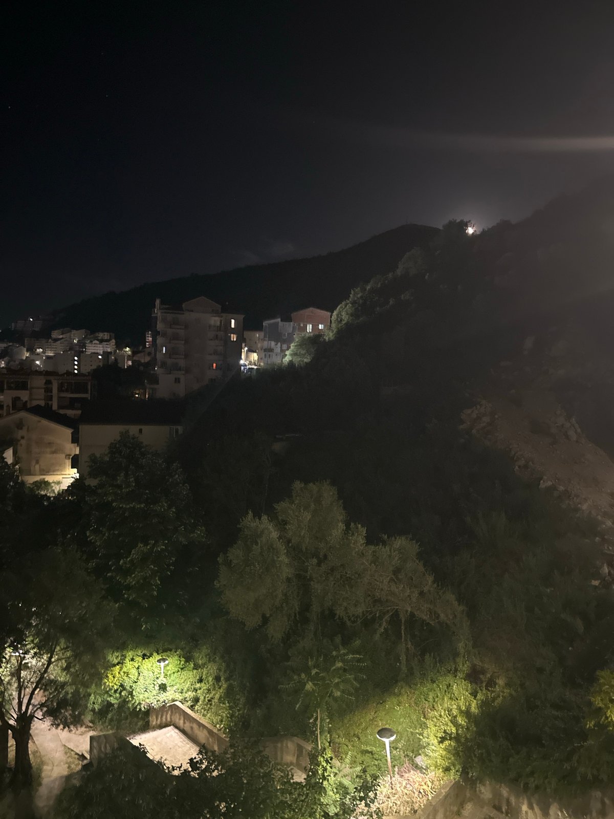 Domestic cats observed in evening hours across Budva homes