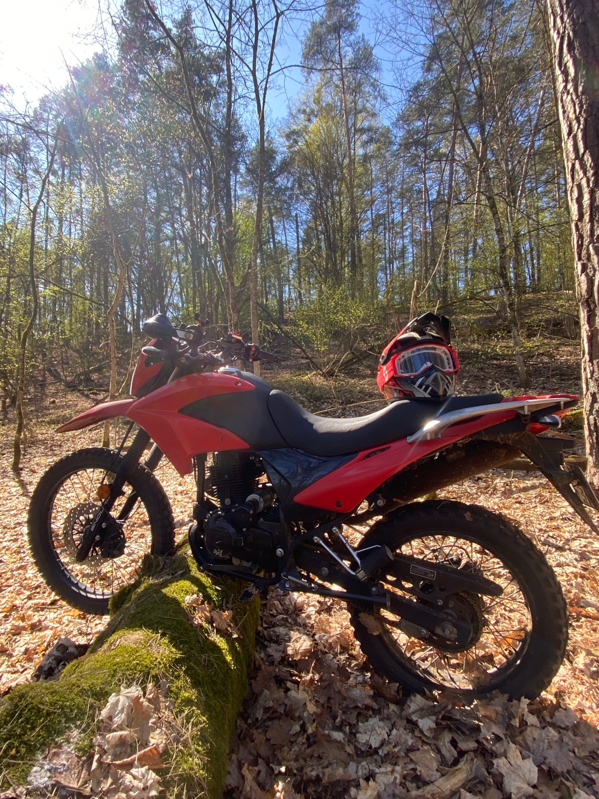Dirt bike spotted in Belarusian forest near lake