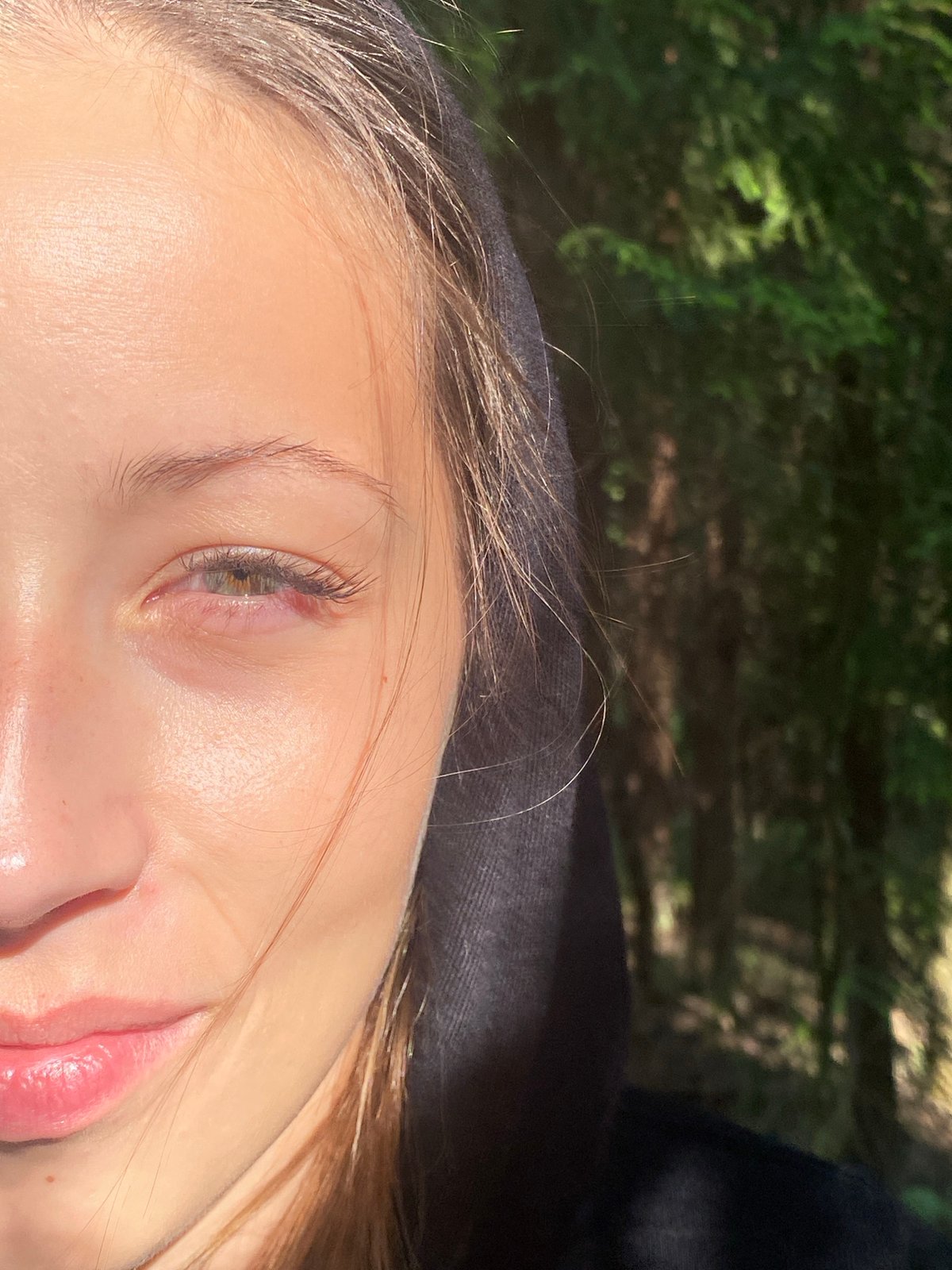 Forest exploration documented near St. Petersburg, Russia