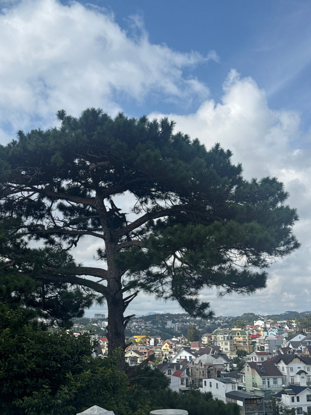 Tourist documents Da Lat's scenic architecture and landscapes