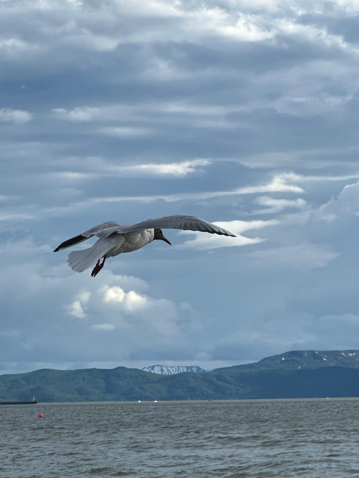A quiet morning on the shores of Avacha Bay, Kamchatka