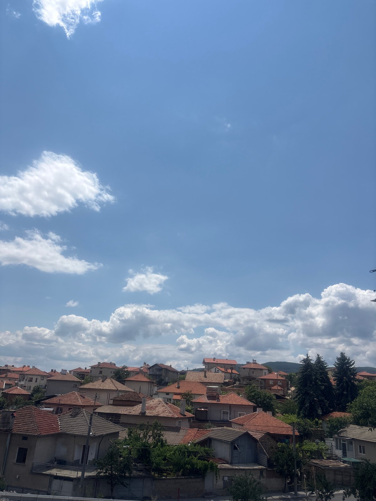 Summer morning in Strelcha, flowers and town views