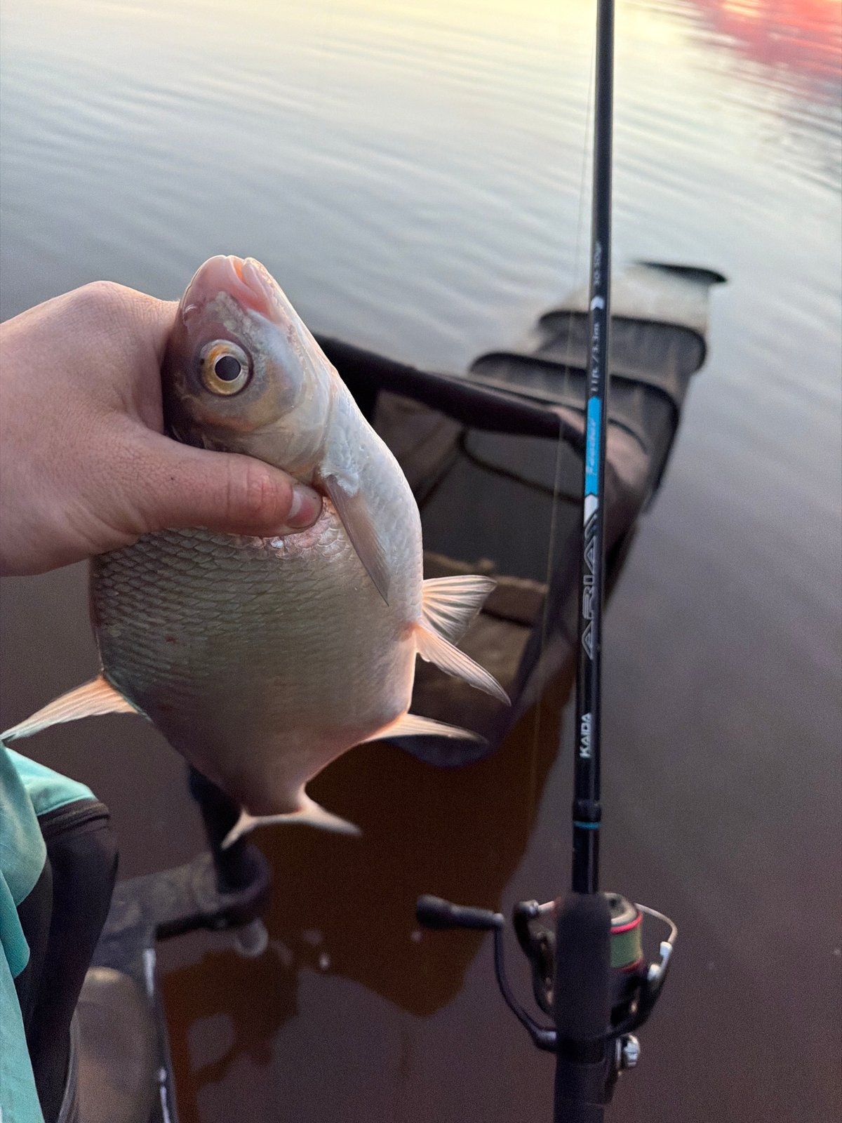 Angler catches silver fish in Chaikovsky, Russia