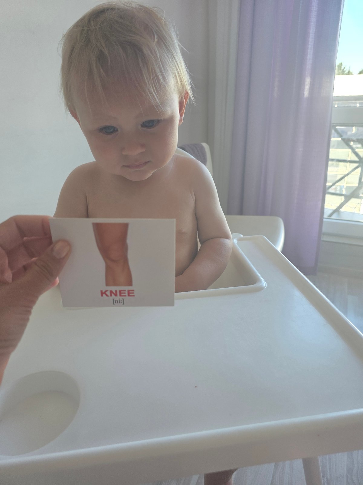 Toddler works through anatomy flashcards in English and Russian