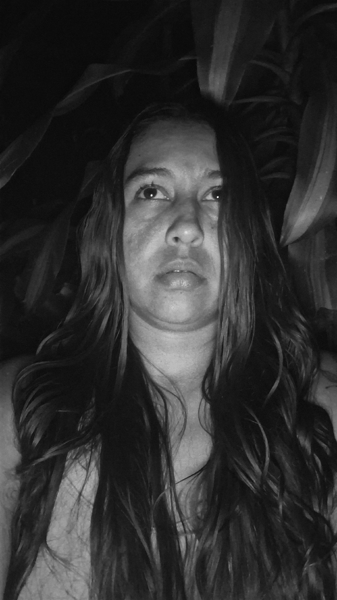 Nighttime nature documentation in Vallecito, Venezuela
