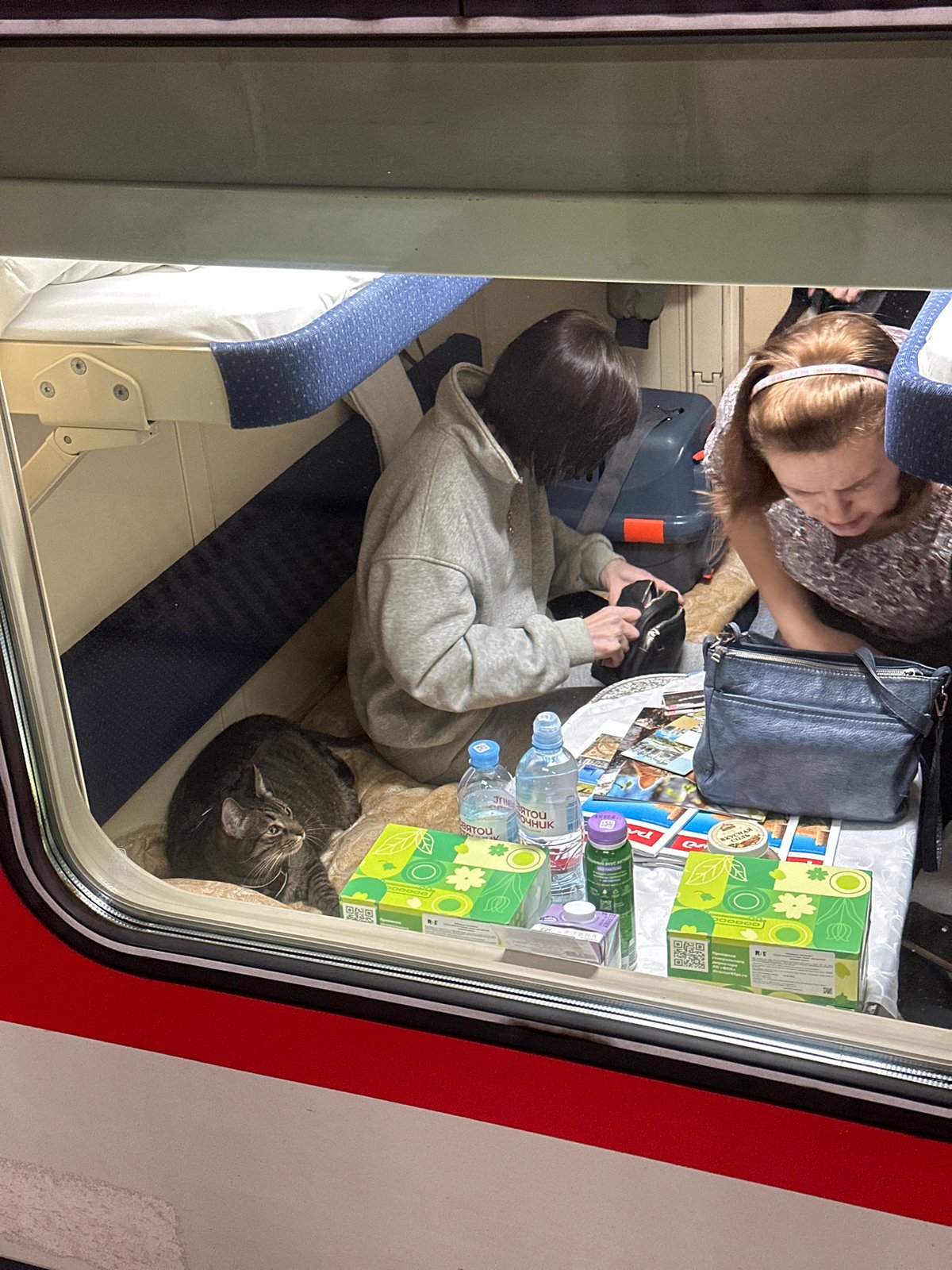 Train passengers with cat observed in Saint Petersburg compartment